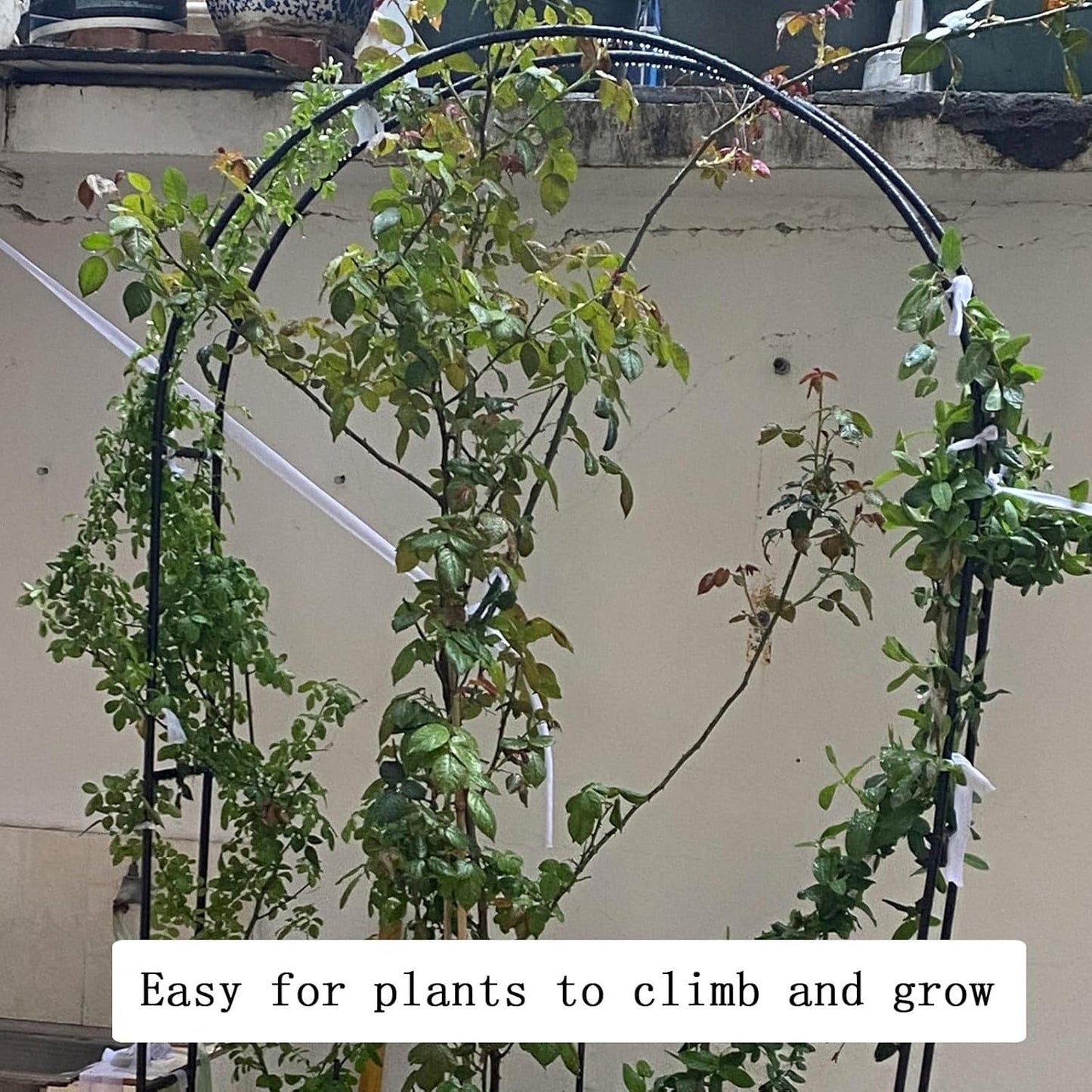 Black Iron Garden Pergola Arbor Arch Trellis for Climbing Plants, Outdoor Archway for Roses & Vines, Durable 0.8x2x0.4m Garden Decoration