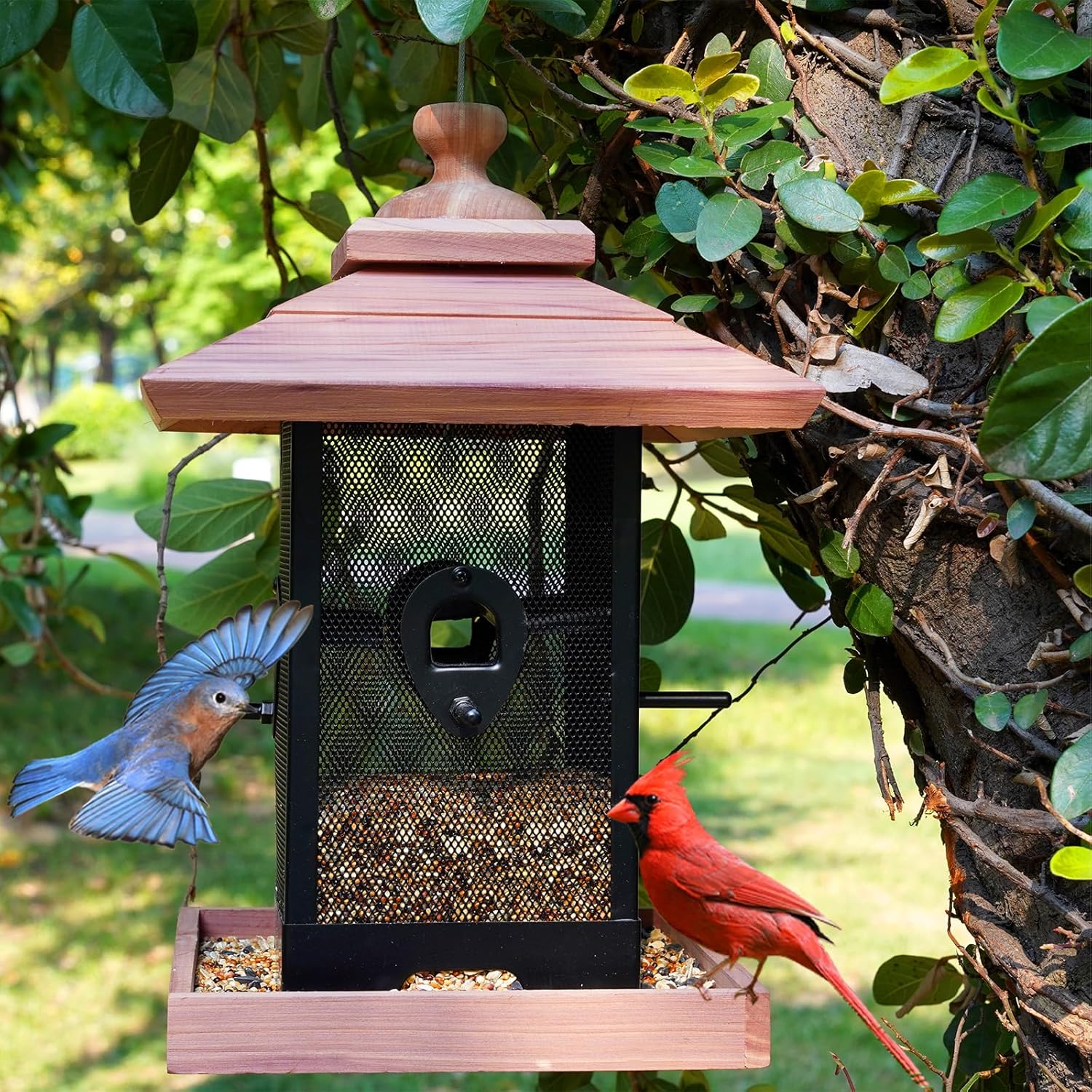 Cedar & Metal Mesh Bird Feeder for Outdoors Hanging Mount Large Capaci