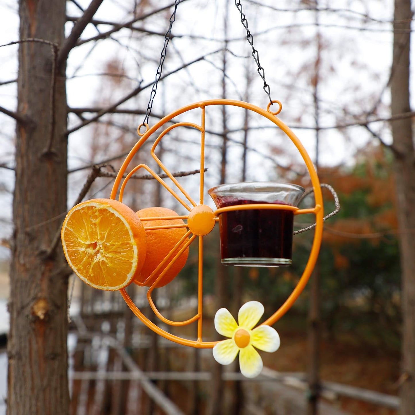 FORUP Oriole Bird Feeder for Outdoors Jelly and Oranges, Orange Fruit 