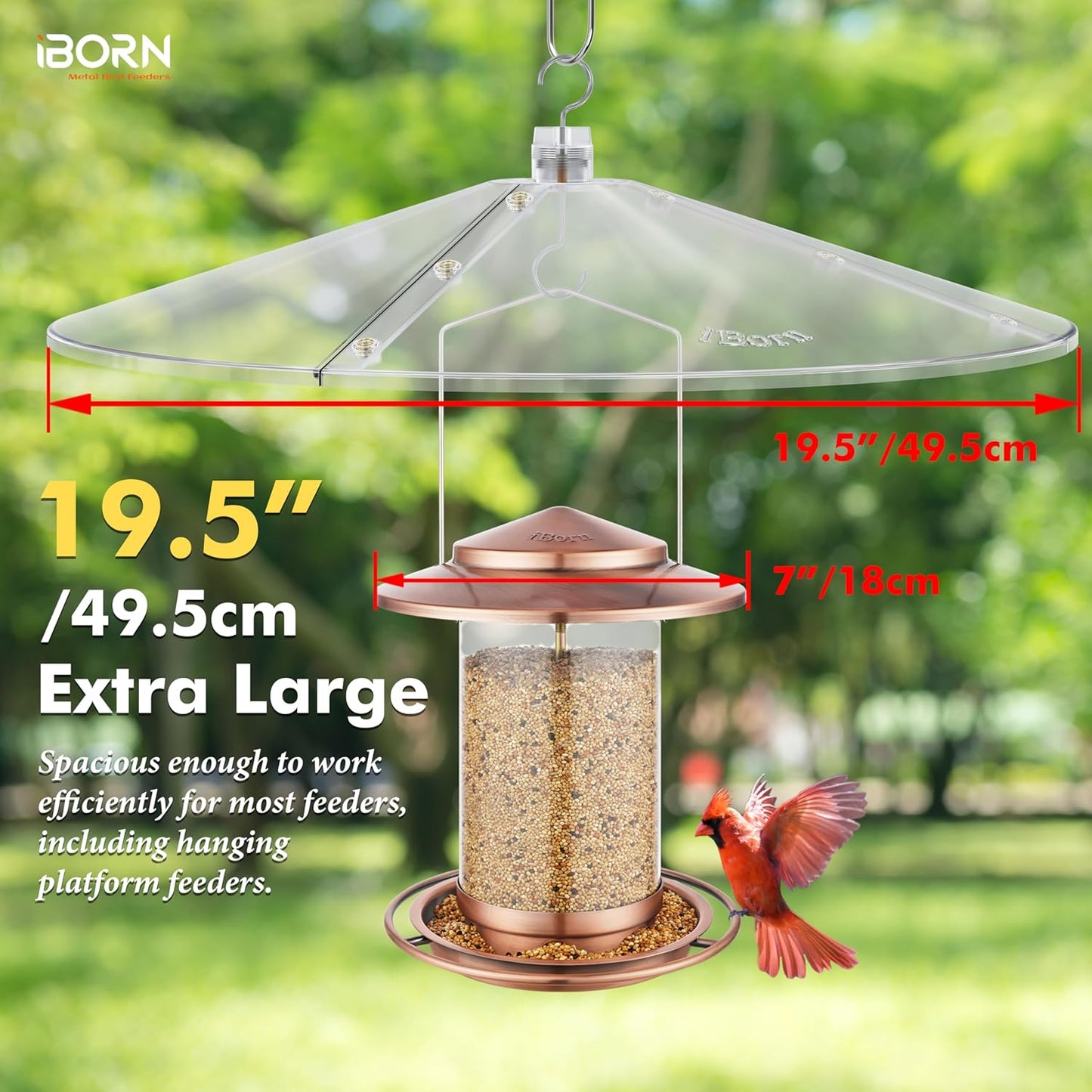 iBorn Baffles for Bird Feeders, 19.5” Oversized Bird Feeder Cover for Rain Guard, Birds Feeders Squirrel Guard, Full Protection for Outdoors, Polycarbonate(PC), Pack of 1, Transparent