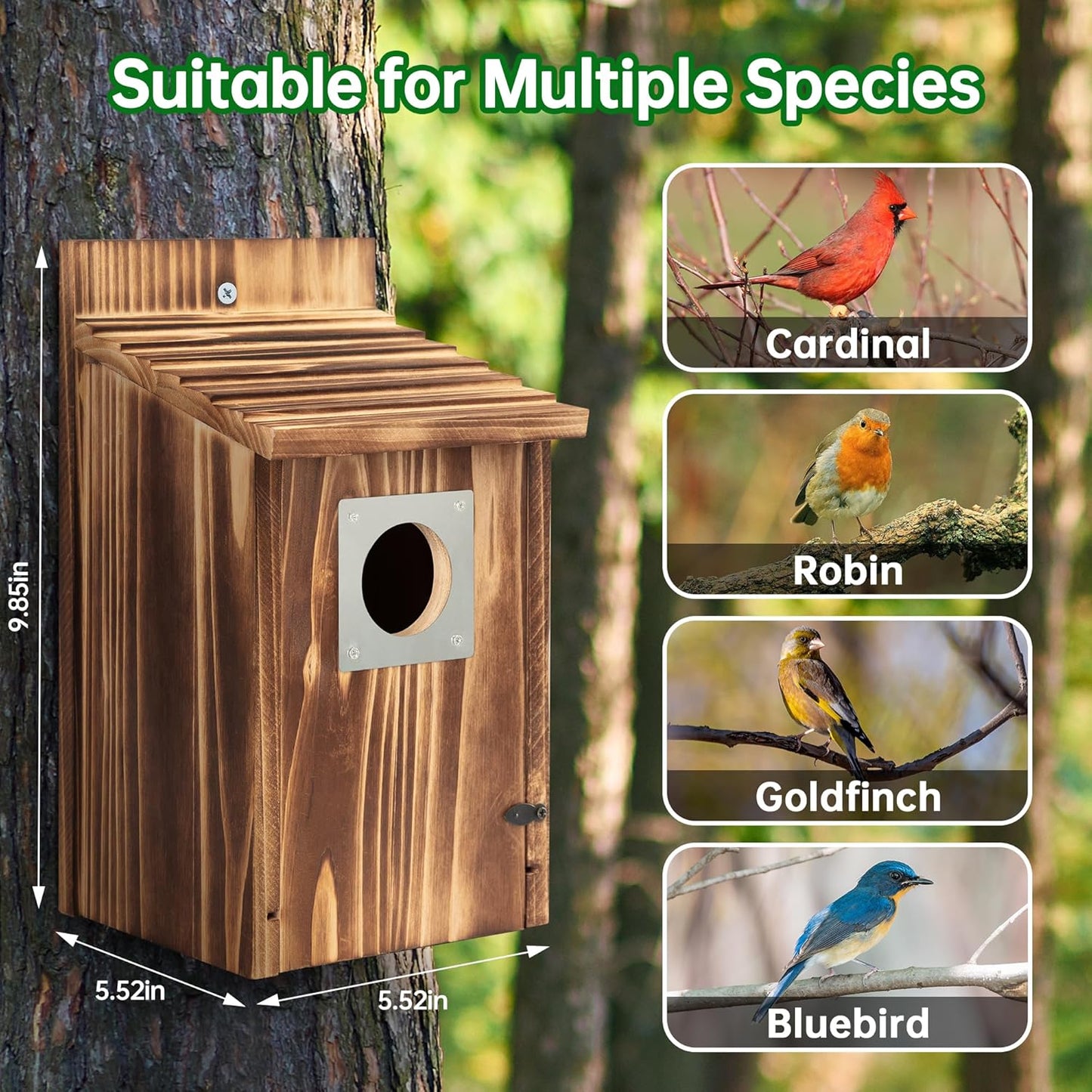 Bird Houses for Outside with Metal Predator Guard for Bluebird Wren Swallow Finch, Carbonized Wooden Nesting Boxes for Outdoor, Sturdy Bird House,Easy to Clean