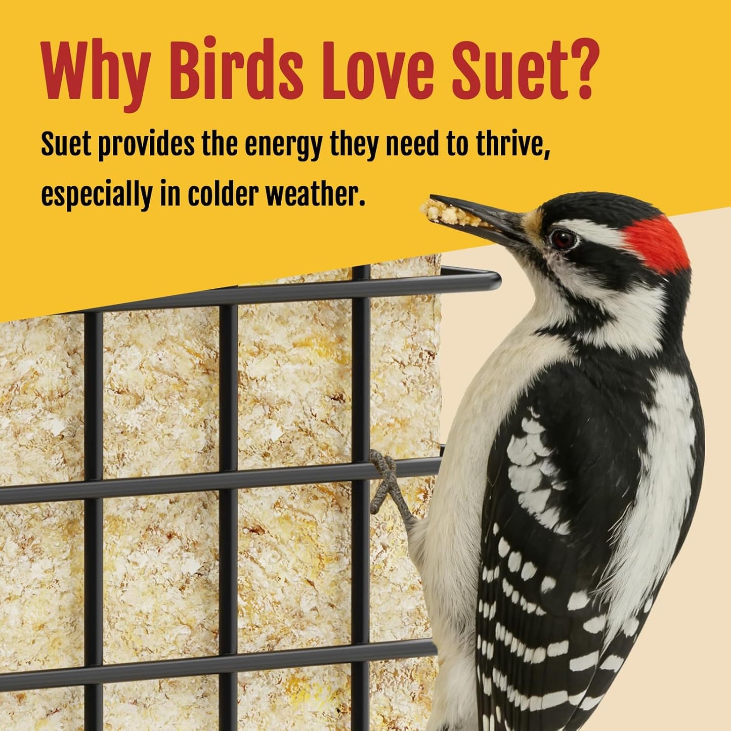 Birdream Double Suet Feeders for Outside Hanging Bird Feeder with Weatherproof Roof Holds 2 Suet Cakes Bird Cage for Outdoors Attract Woodpeckers Goldfinches Chickadees 1-Pack Black