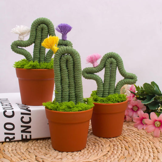 3pcs Handmade Macrame Artificial Cactus, Fake Cactus Potted Plants in Planter Pot, Cute Plant for Friends, Lovers, Classmates and Home Decor Indoor Office Desk