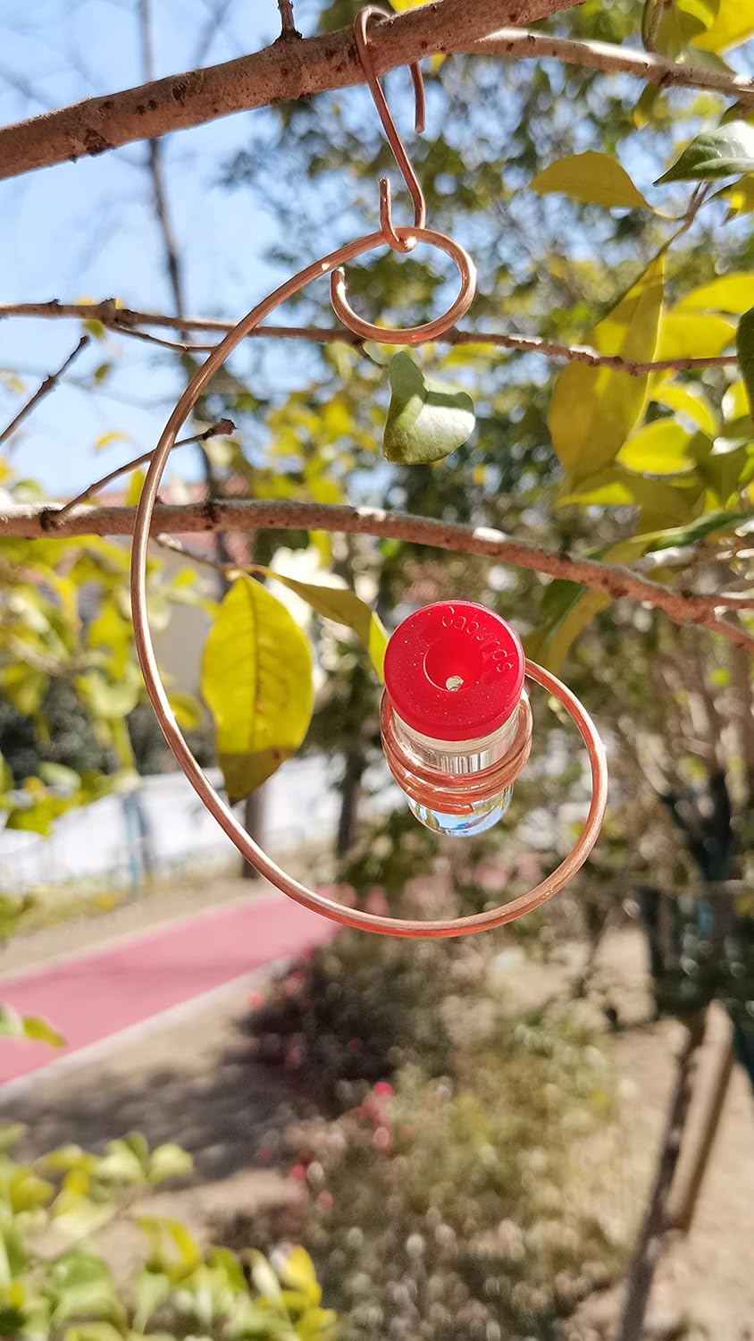 Hummingbird Feeder for Outdoors Hanging Hand-Held Spiral Decorations C