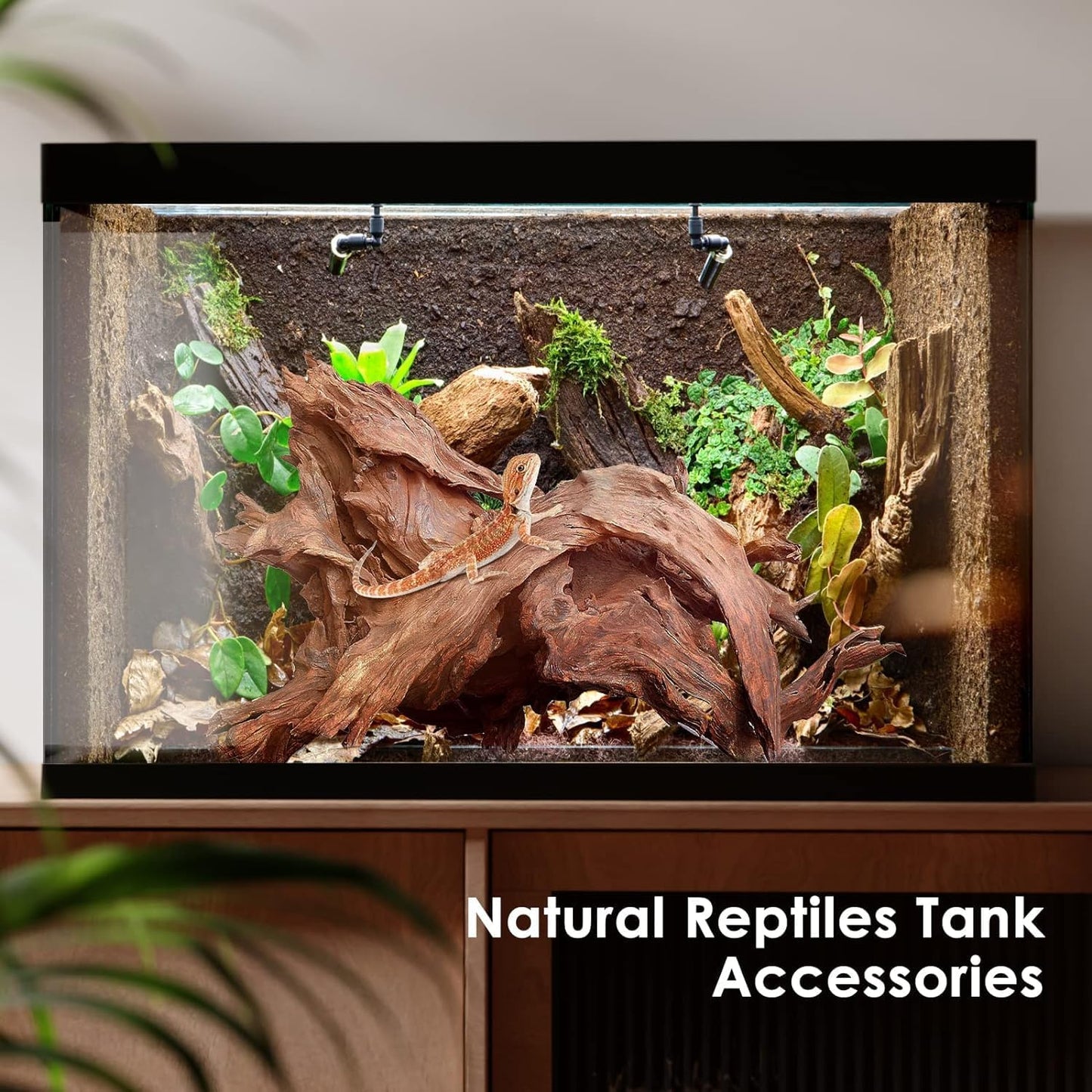 Jorewood Natural Aquarium Driftwood for Fish Tanks & Reptile Terrarium