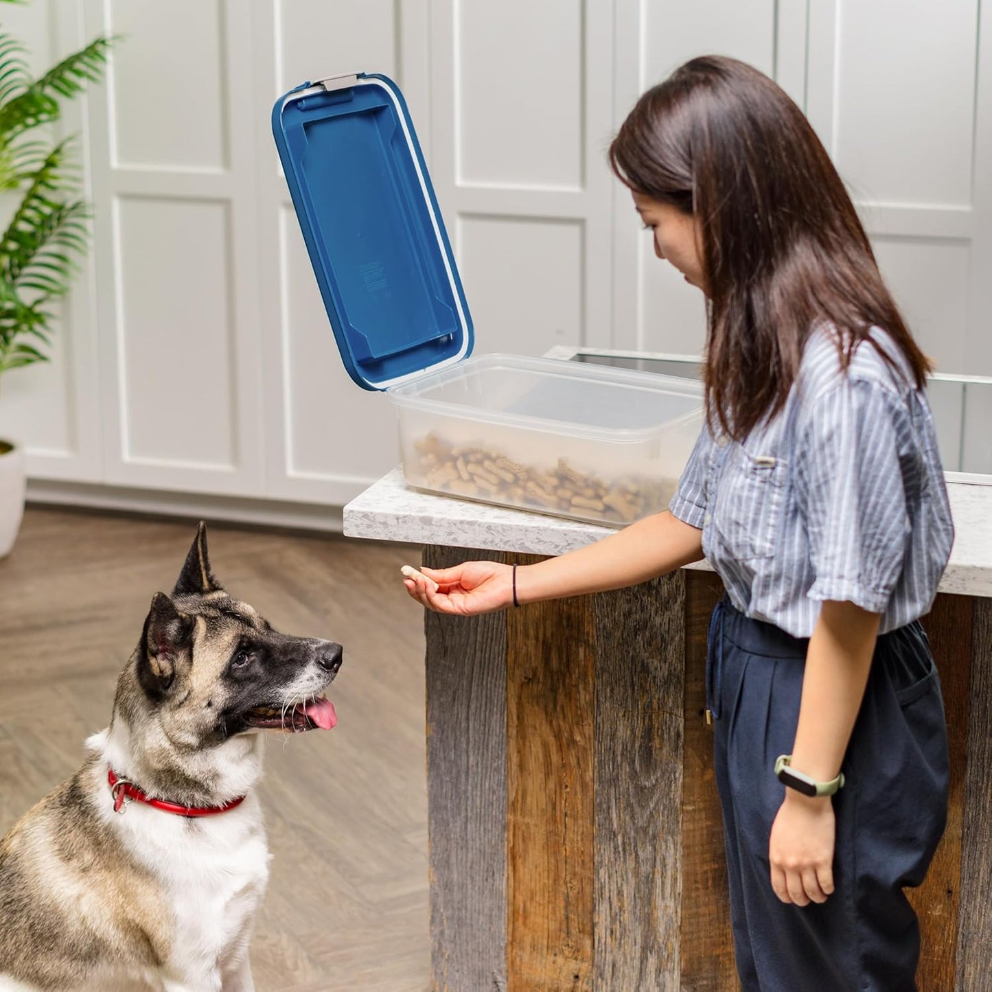 IRIS USA Airtight Dog Food Storage Container, Up to 11 lbs, Dog Cat Bird and Other Pet Food Treats Storage Bin, Dog Cat Wet Food Cans, Keep Fresh, BPA Free, Stackable, Navy