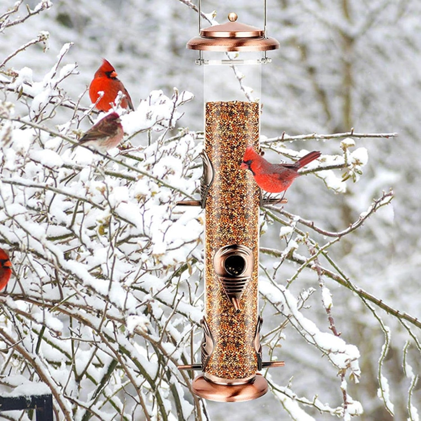 Squirrel Proof Bird Feeder - Small Tube Clear Weatherproof for Easy Ou