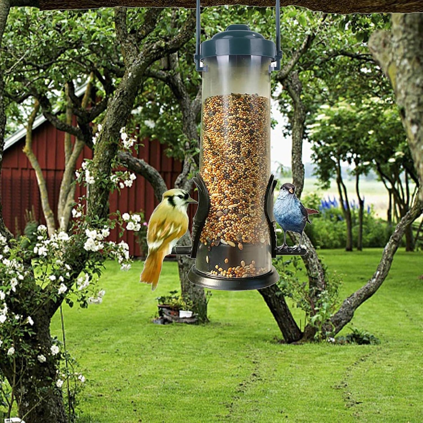 Bird Feeding Tube - Automatic Squirrel Proof Feeder | Small Hummingbir
