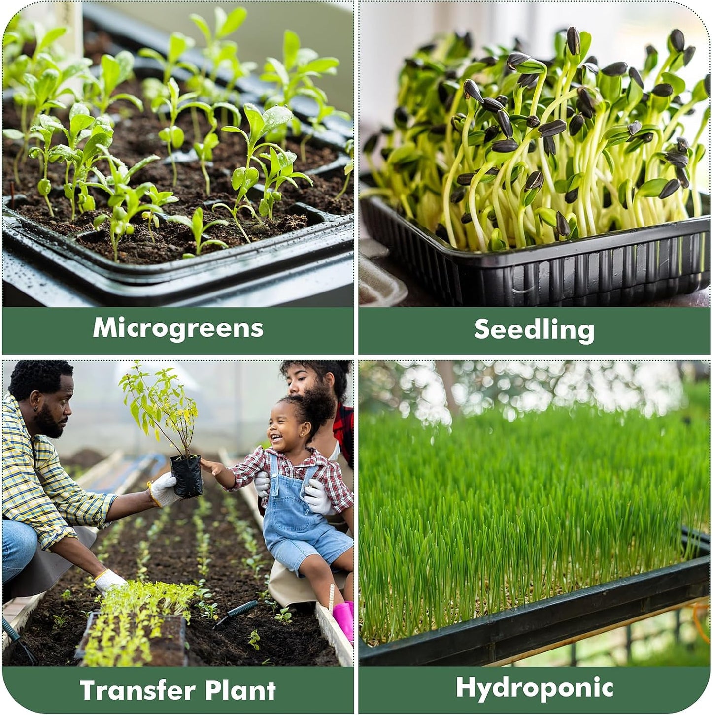 Sckee Upgraded 10 Pack Plant Growing Trays Seed Starting Tray Microgre