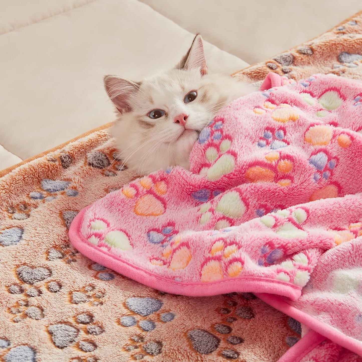 Luciphia 1 Pack 3 Blankets Super Soft Fluffy Premium Fleece Pet Blanke