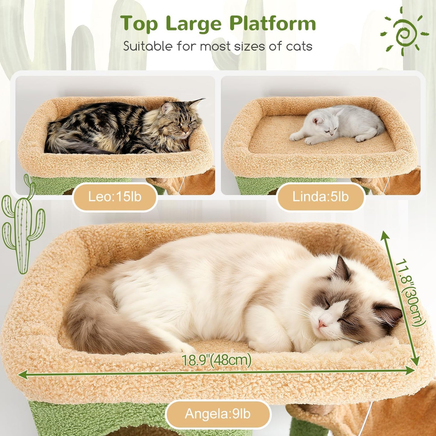 Globlazer Corner Cactus Cat Tree 66 inch Multi-Level Cactus Climbing T