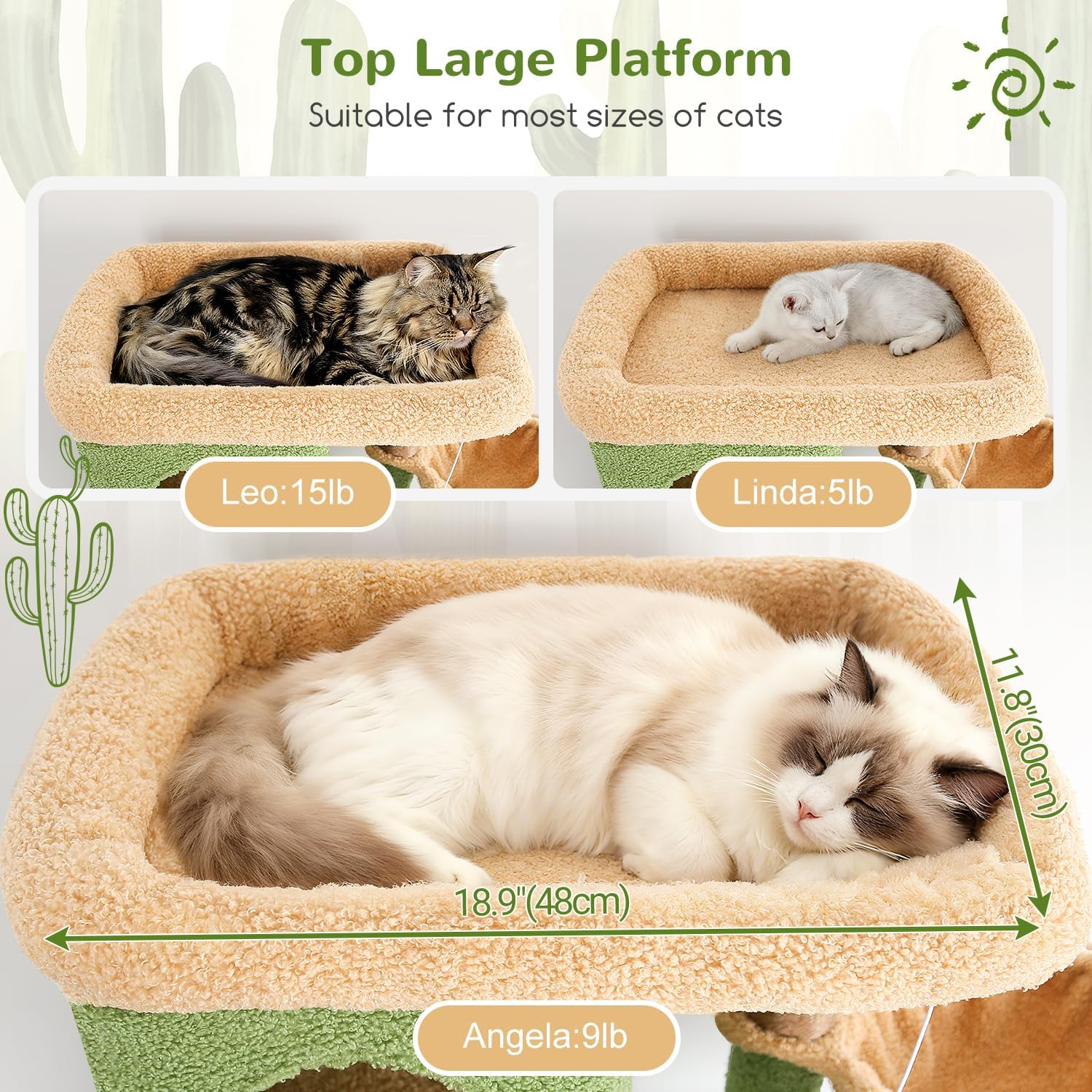 Globlazer Corner Cactus Cat Tree 66 inch Multi-Level Cactus Climbing T