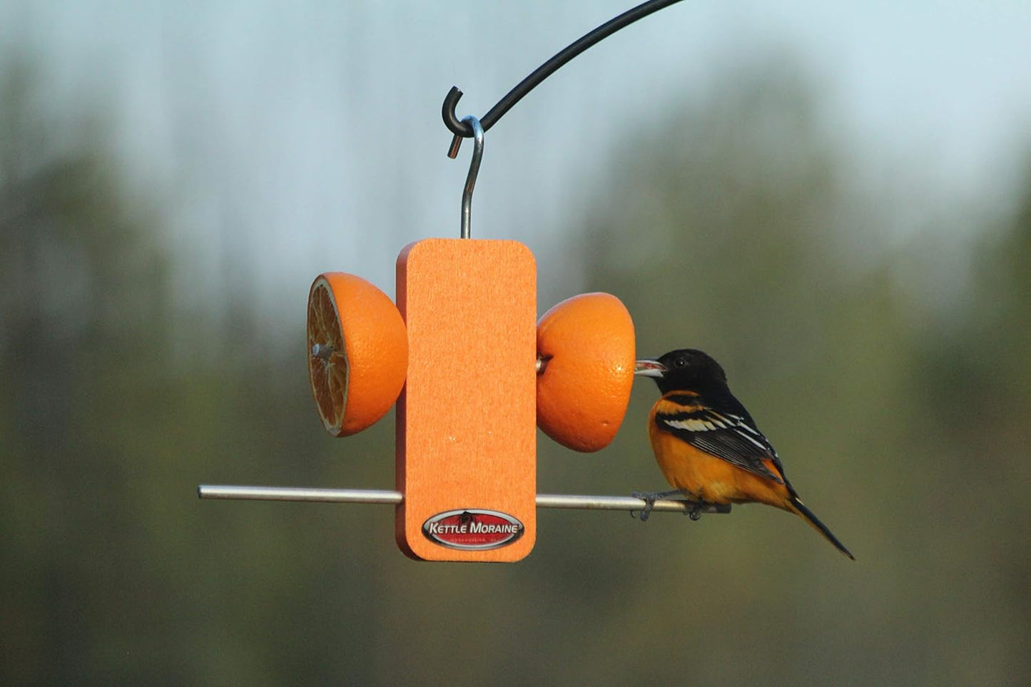Kettle Moraine Recycled Single Oriole Orange Fruit Stick Feeder