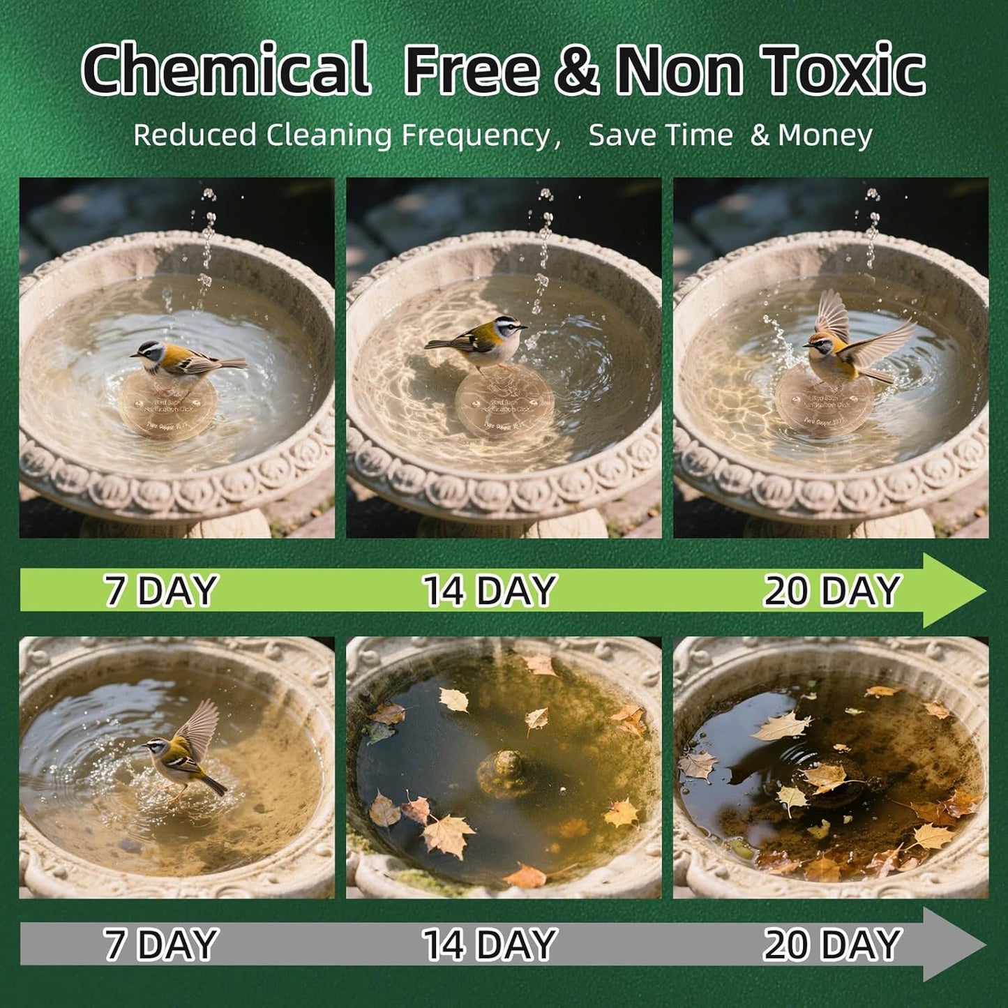 Copper Disk for birdbath, Chicken,Dogs & Cats Water Feeder, 99.9% Pure