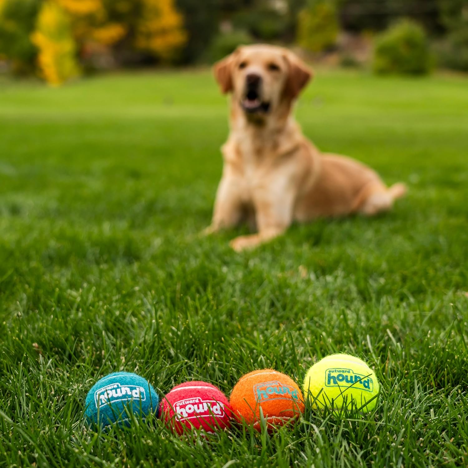 Outward Hound Squeaker Ballz – Squeaky Tennis Balls for Dogs Under 50 