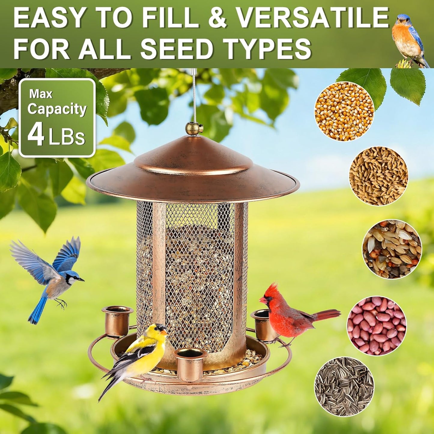Bird Feeder, Heavy Duty Bird Feeders for Outdoors, Metal Iron Mesh Squirrel Proof with 3 Extra Feeding Ports,4LB Large Capacity Wild Birdfeeder for Outside Hanging Garden Yard Backyard
