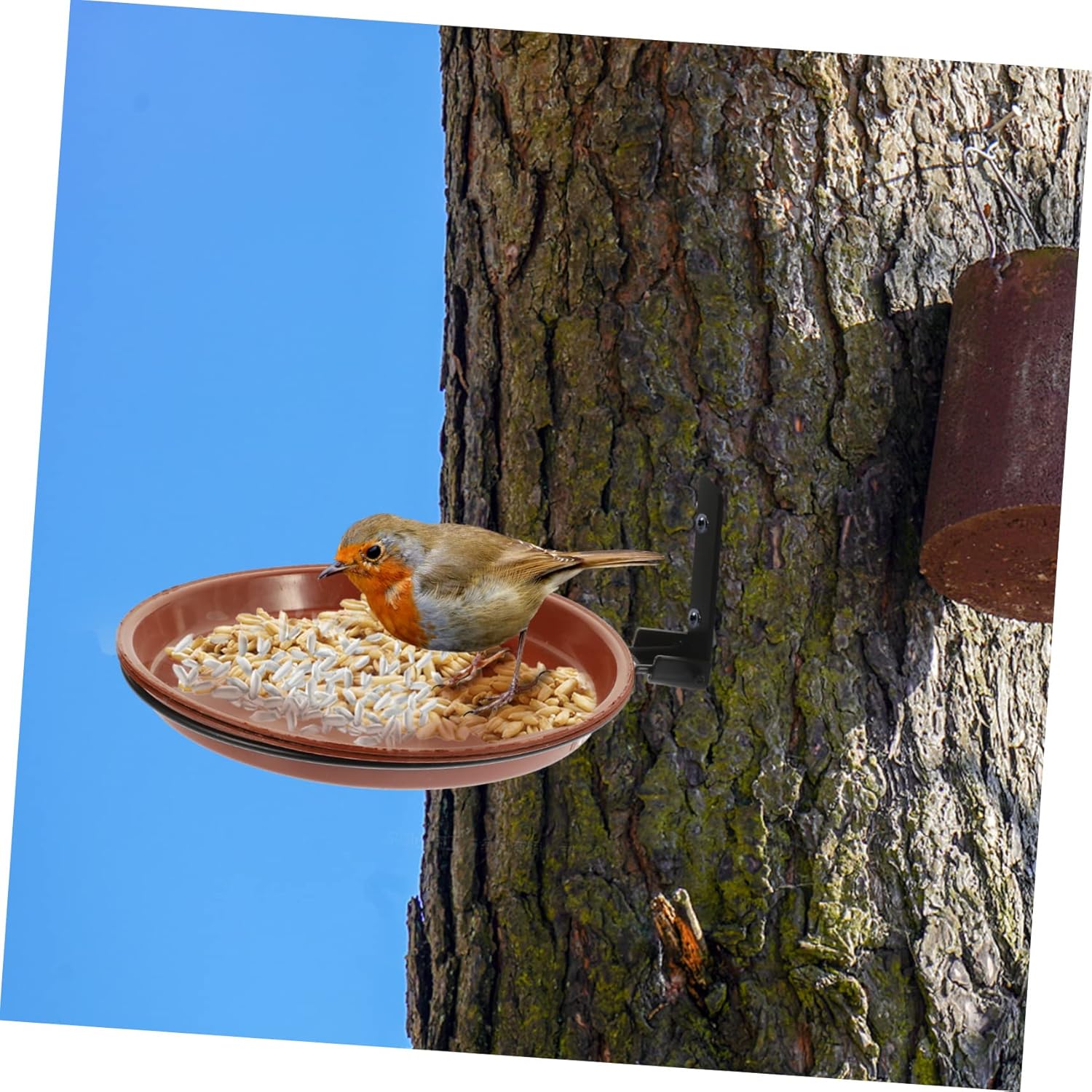 Milisten 1set Hanging Bird Bath Tray Bird Feeder with Heavy Duty for F