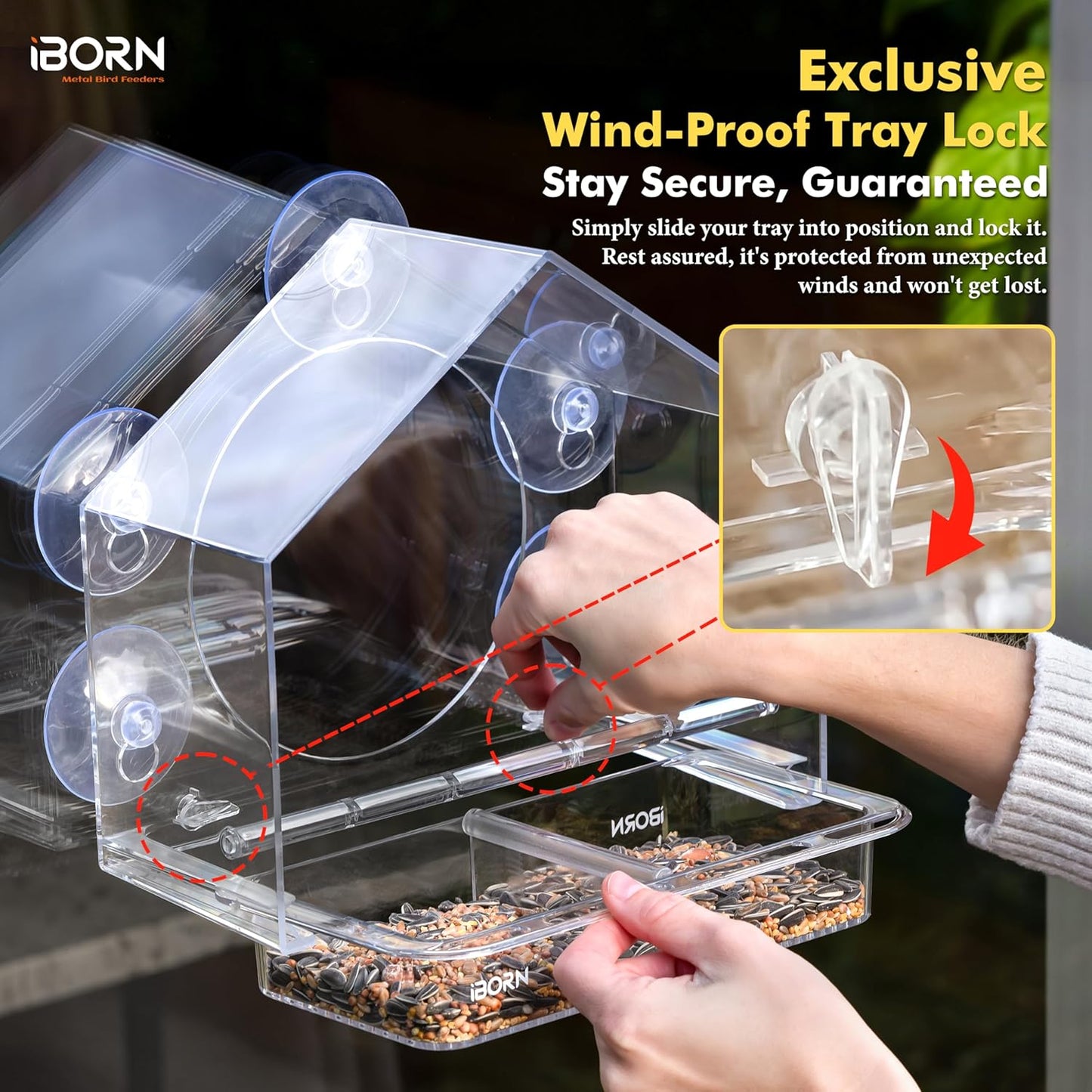iBorn 2026 New Window Bird Feeders for Outdoors Wind-Proof Tray Lock,Cardinal Bird Feeder with Strong Suction Cups for Window Birds Watching, Chewproof PC, for Parent &Child