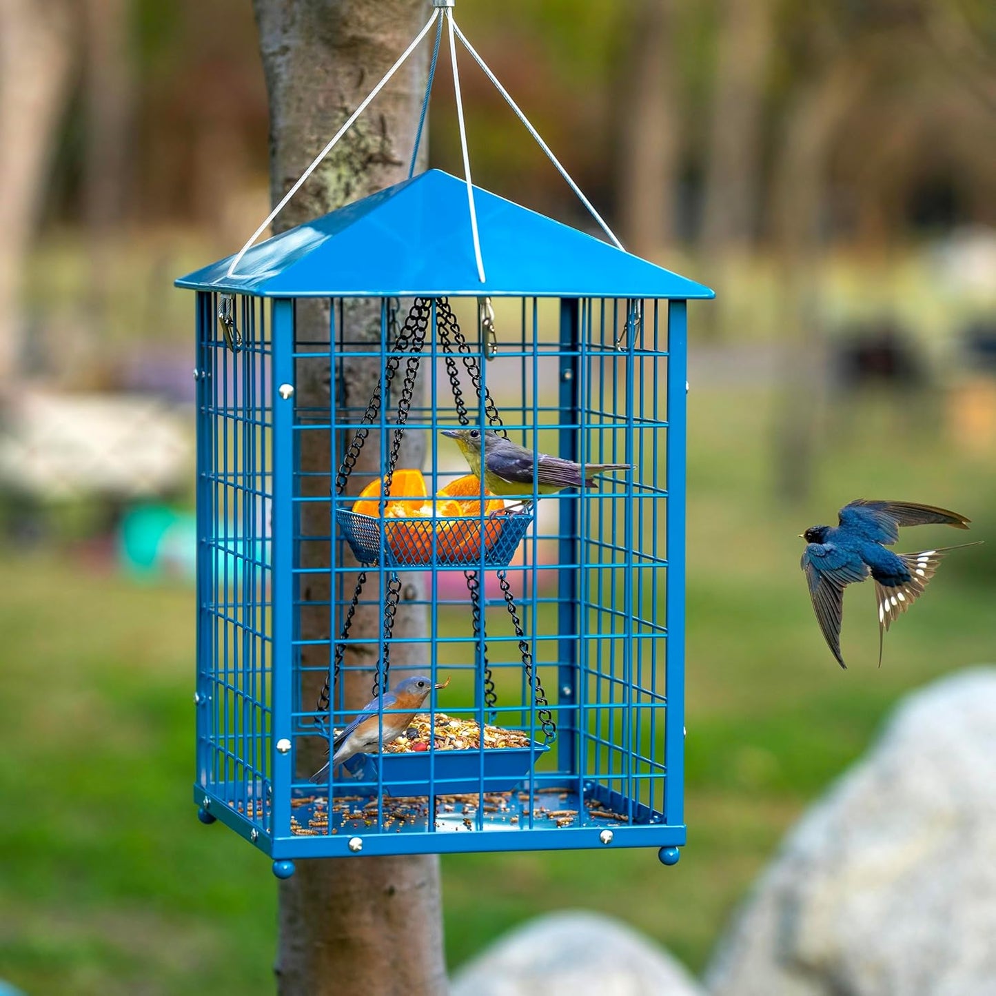 Bluebird Feeders Squirrel-Proof, 7 lbs, Large Heavy Metal Caged Mealworms Blue Bird Feeders for Outside, Weatherproof Wild Bird Feeder,2 Layer Seed Cups(Blue)