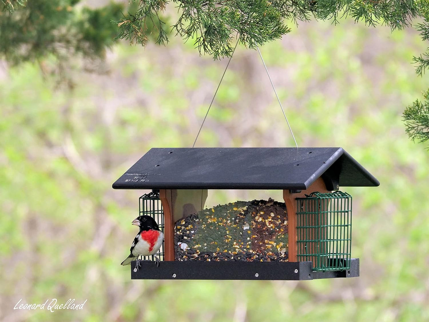 AmishToyBox.com Deluxe Bird Feeder with Suet Holders, Made with Eco-Friendly Poly Lumber (Black/Cedar)