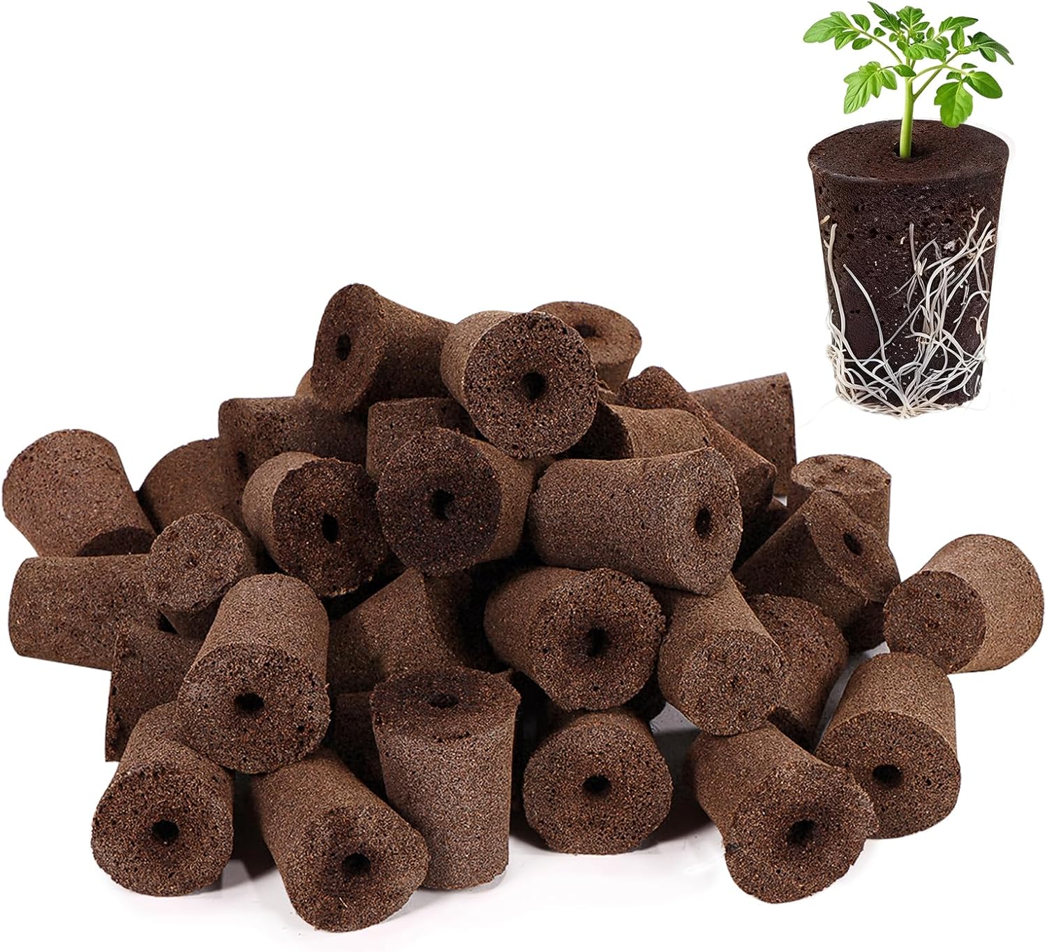 50 Pack Grow Sponges, Large Seed Pods Replacement Sponges, General Hyd