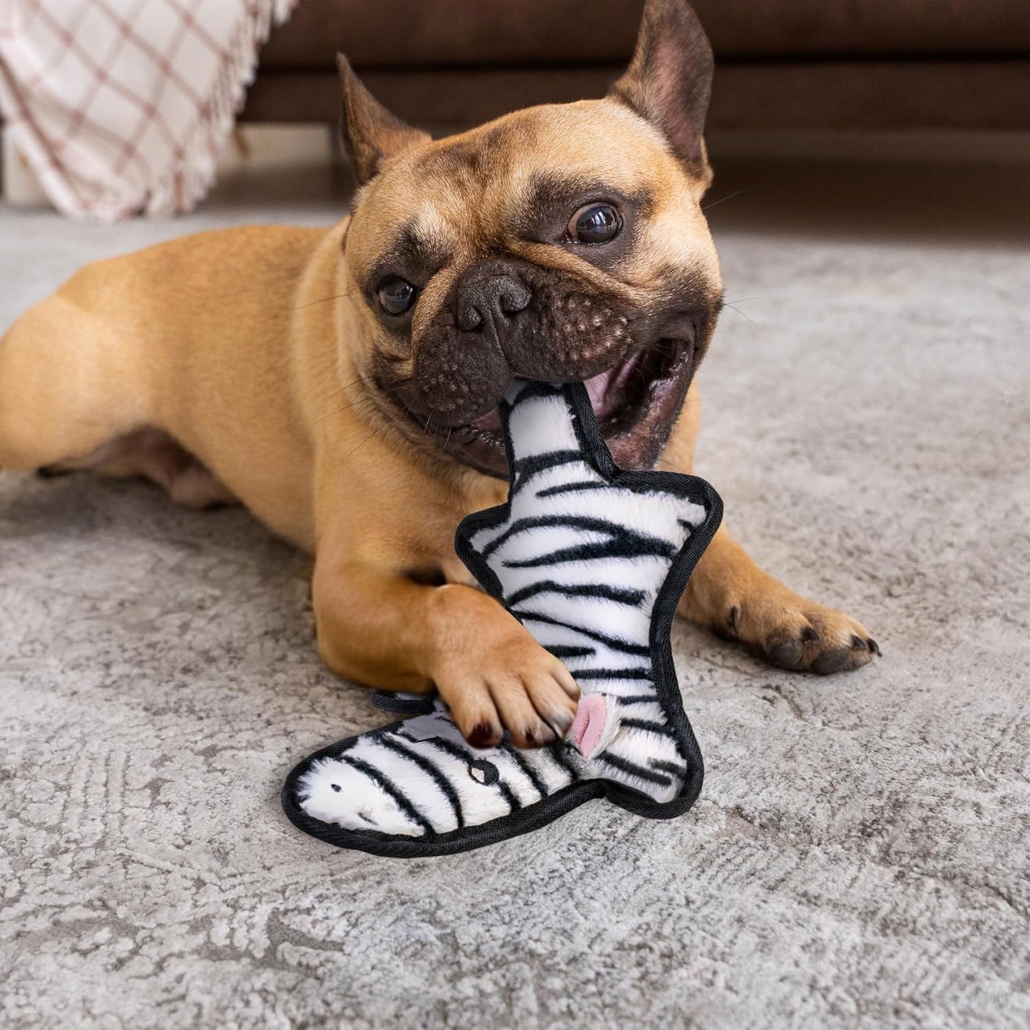 SHARLOVY No Stuffing Dog Toys Crinkle Squeaky, Long Lasting Chews for 