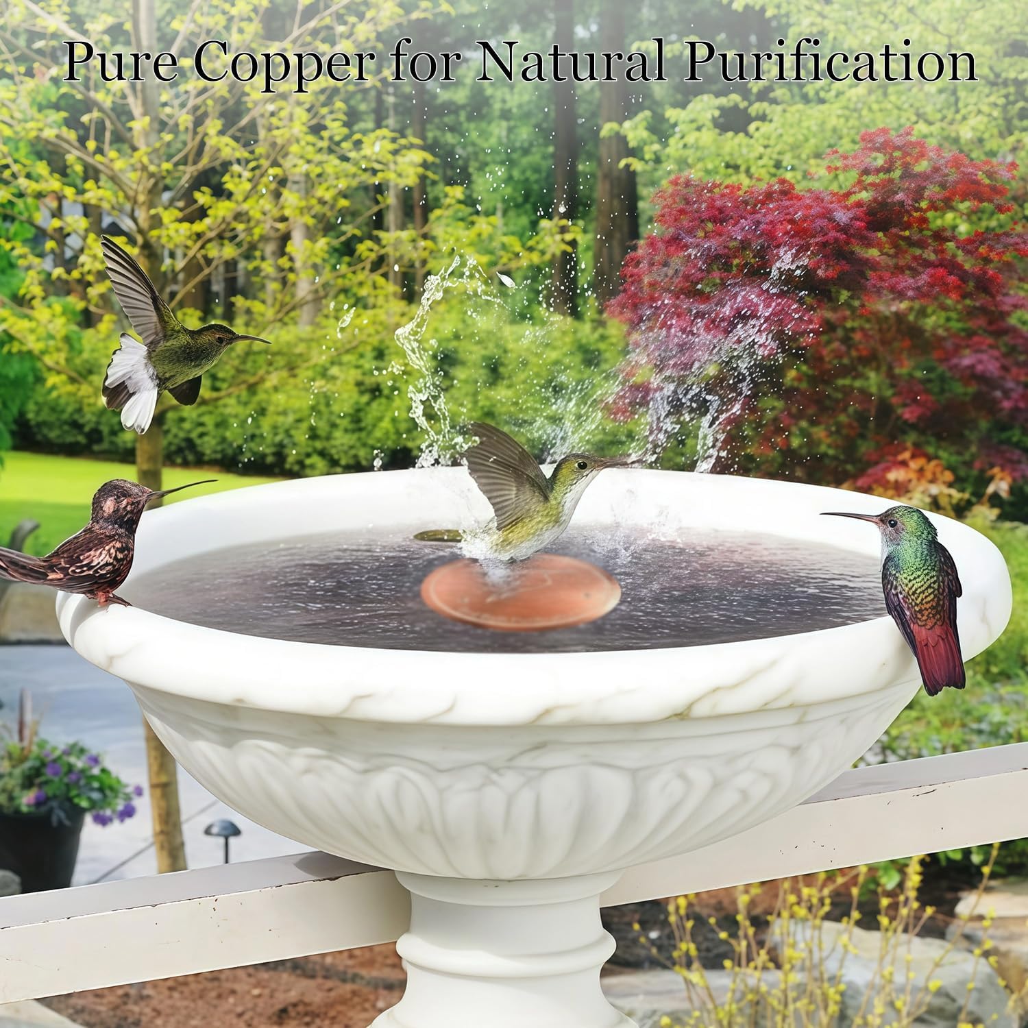 Bird Bath Copper Disk, Copper Disc for Bird Bath 99.99% Pure 0.6 mm Th