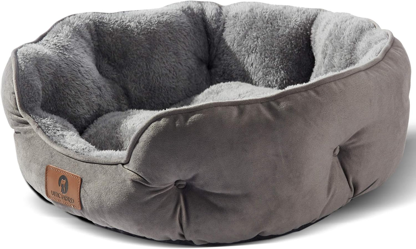 Asvin Small Dog Bed for Small Dogs, Cat Beds for Indoor Cats, Pet Bed 