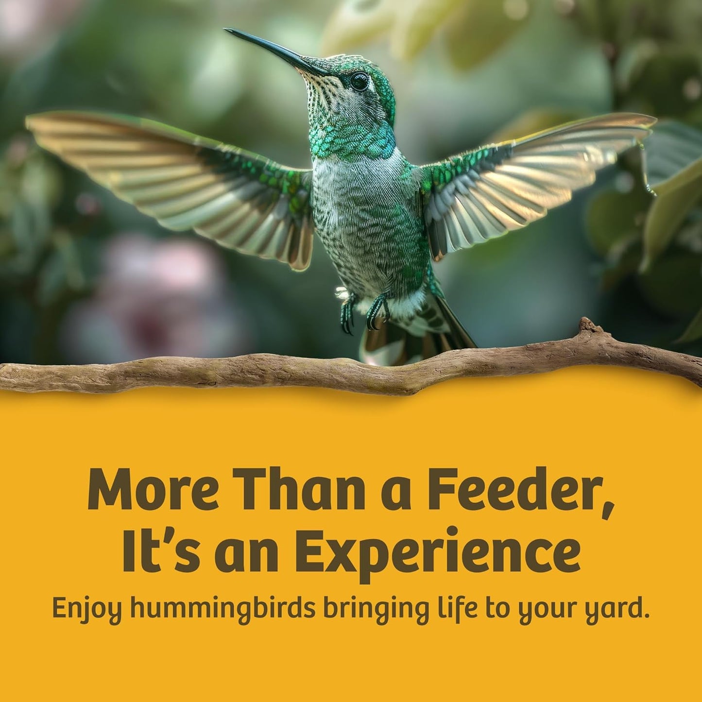 Birds Choice Best-1 32oz. Hummingbird Feeder, Clear (BEST32OZ)