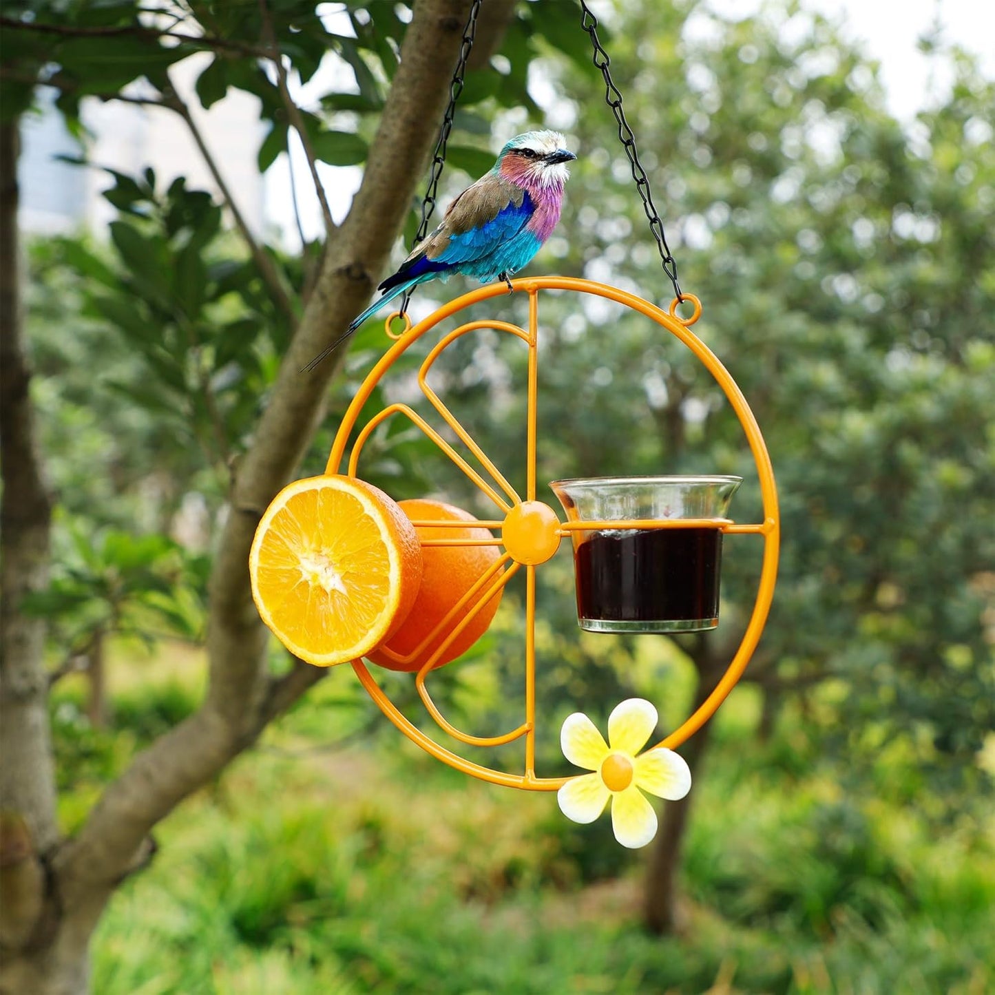 FORUP Oriole Bird Feeder for Outdoors Jelly and Oranges, Orange Fruit 