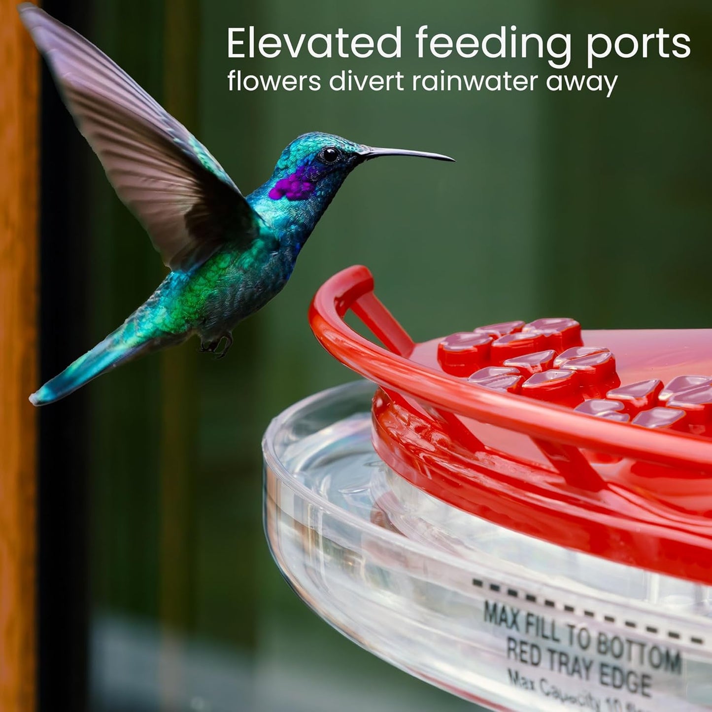Roamwild Window Hummingbird Feeder with Suction Cups Bee Proof & Ant Proof Hummingbird Feeder for Outdoors Built in UV Shade Keeps Nectar Fresh Ultra-Strong Dual Suction Cup Window Mount – Purple