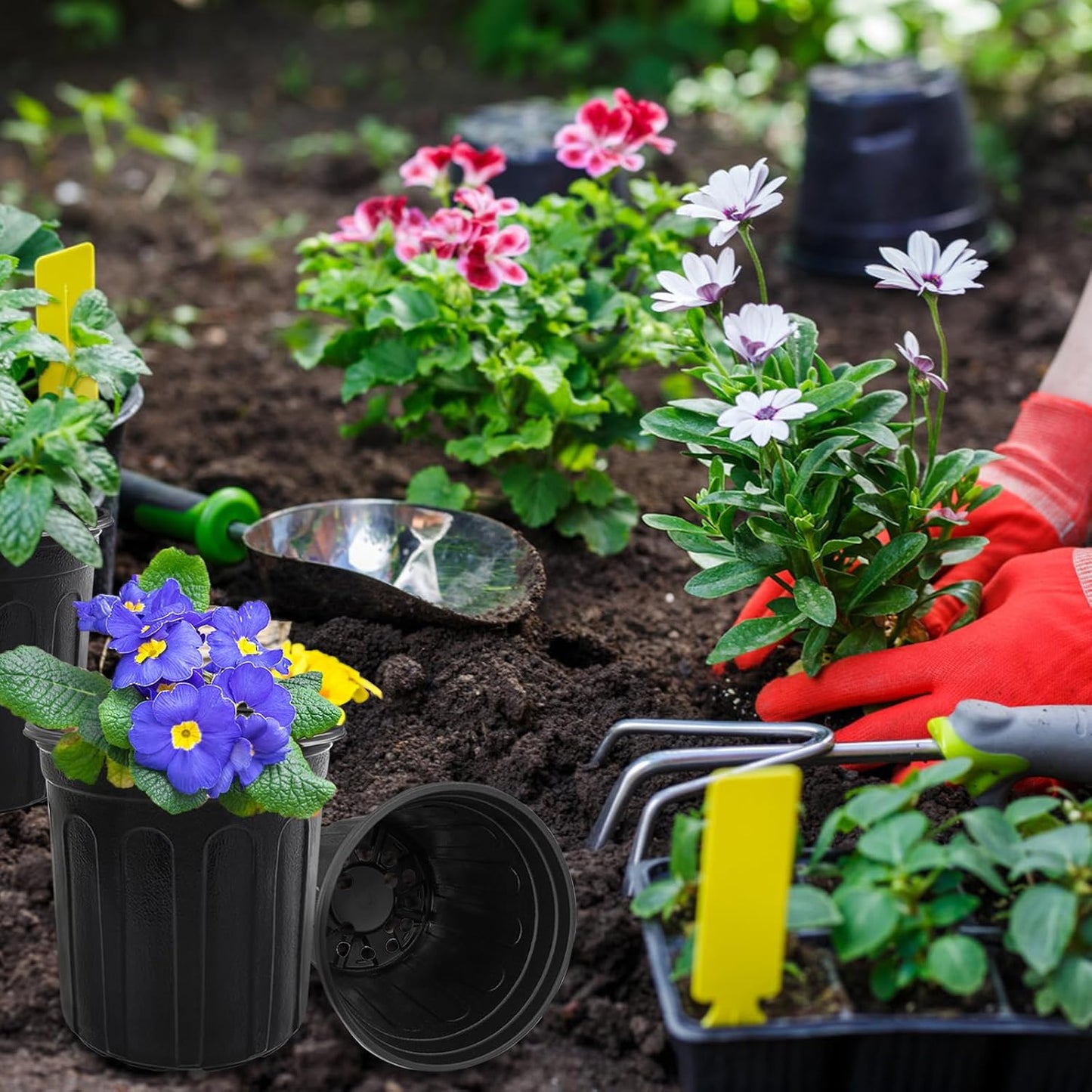 60 Pcs 1 Gallon Plant Nursery Pots,Plastic Seed Starter Pot with Drain