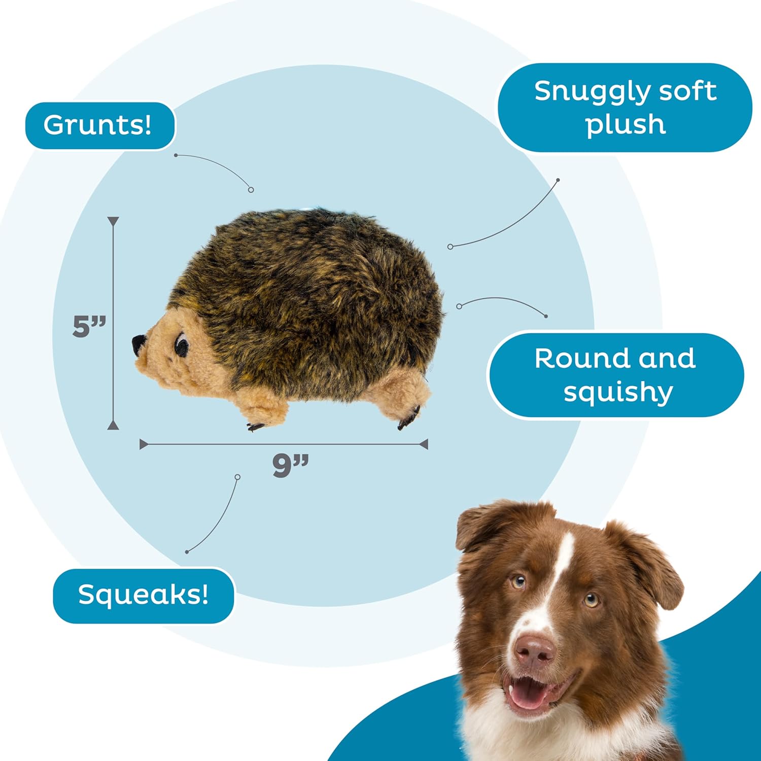 Outward Hound Hedgehogz Stuffed Dog Toy – Soft Plush Hedgehog, Grunts 