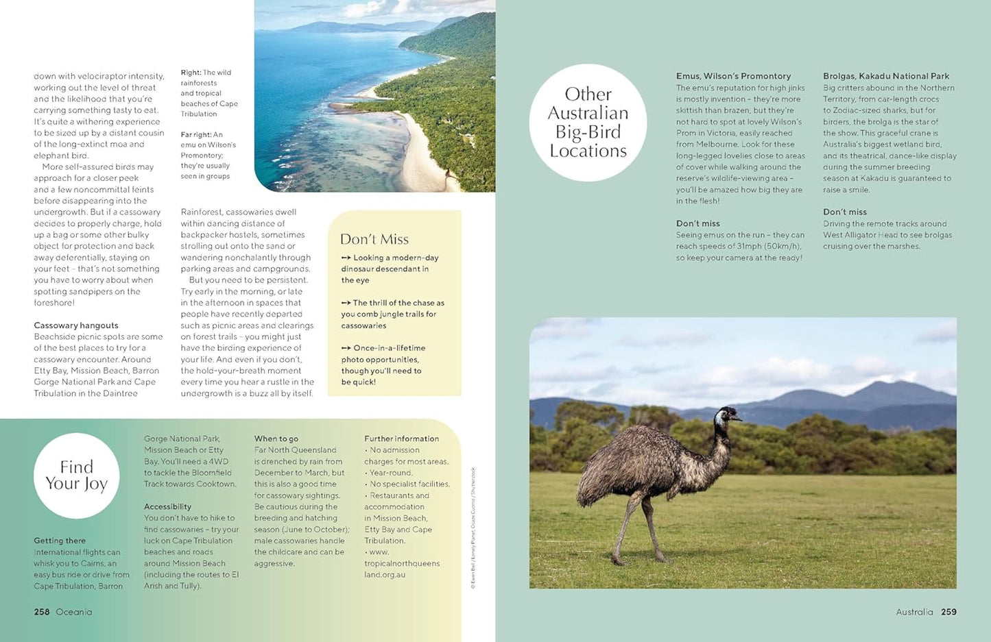 Lonely Planet The Joy of Birdwatching
