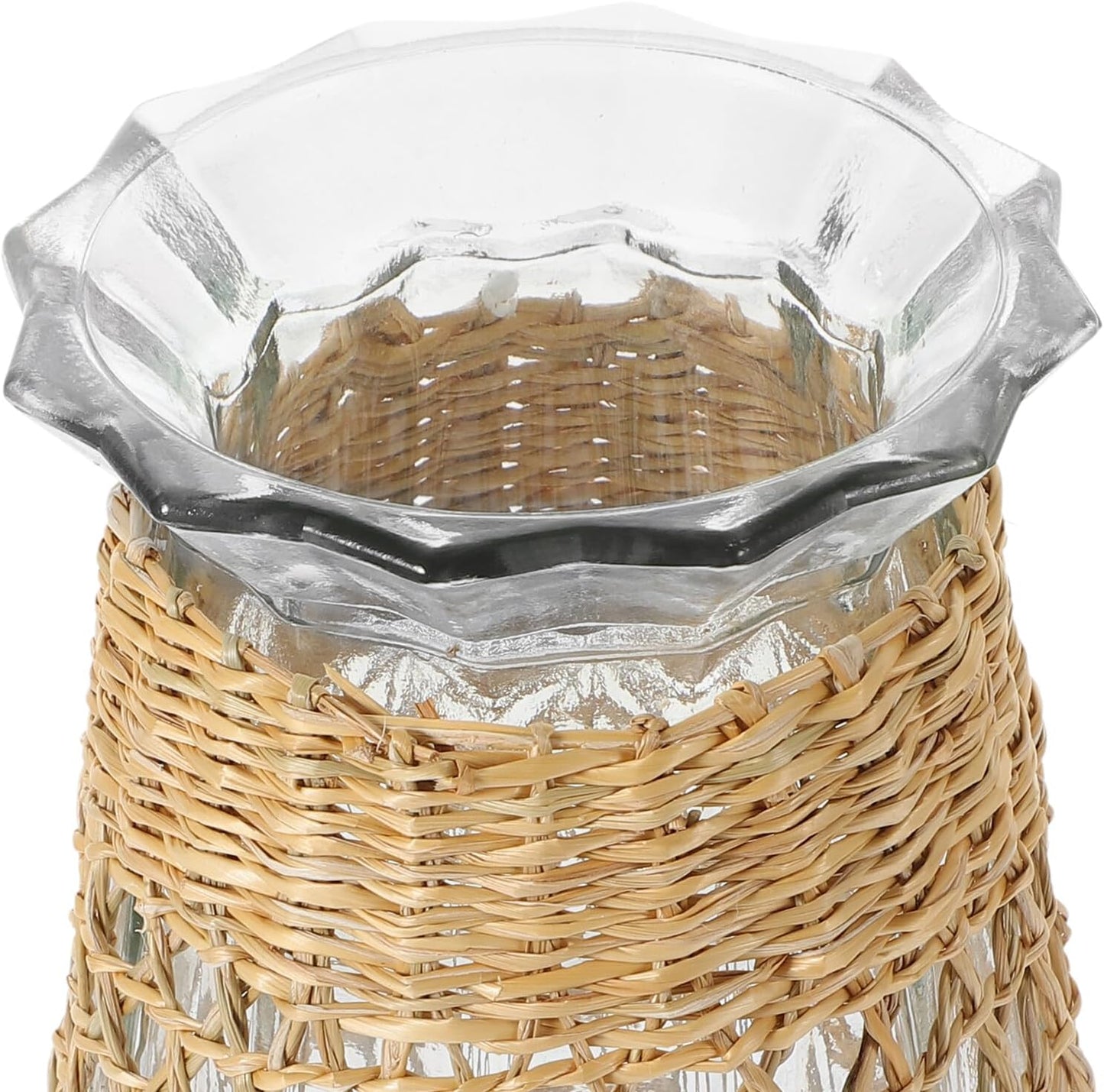 Woven Rattan Glass Vase Decorative Flower Pot for Dried and Fresh Plan