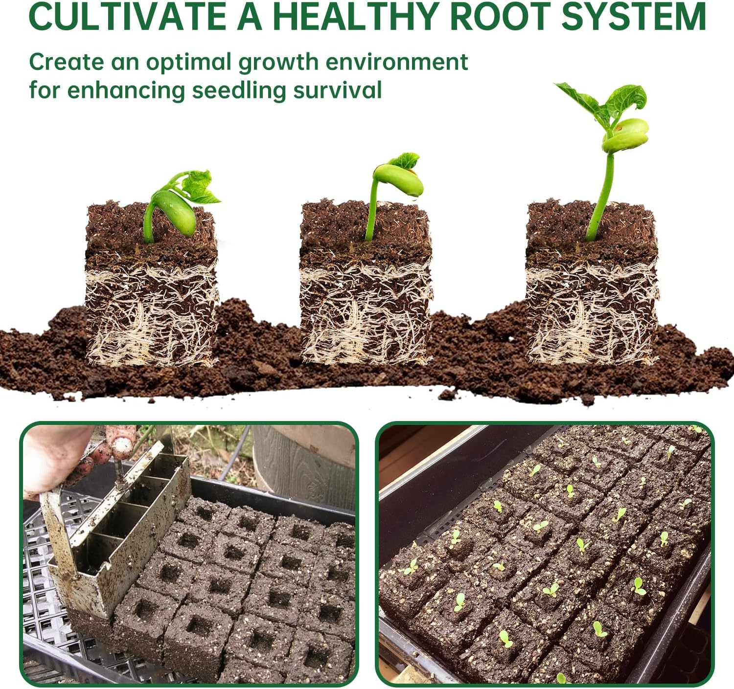 Soil Blocker, 2 Inch Soil Block Maker with 3 Sizes Seed Pins & Comfort