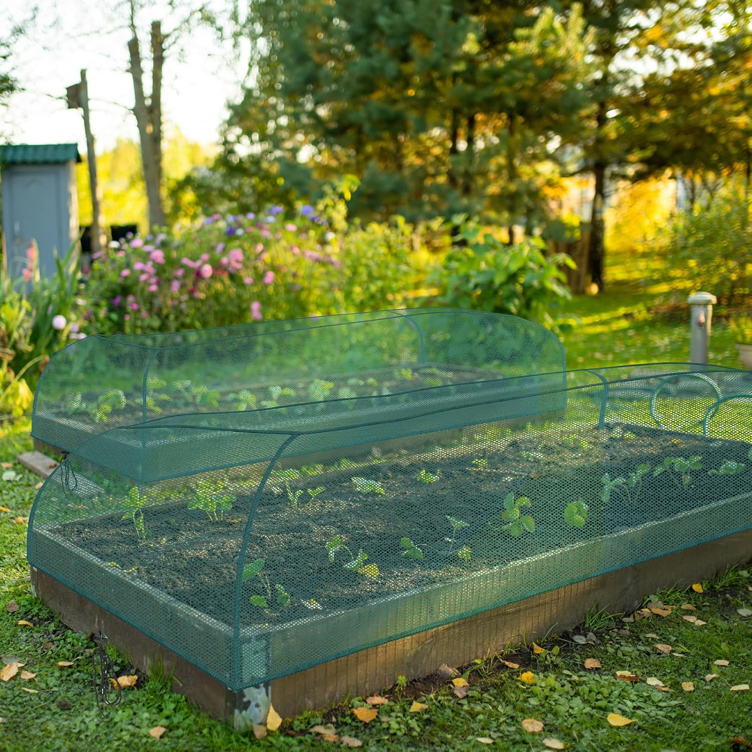 Qualirey 6 Pack Garden Netting for Raised Beds, 59" x 28" x 18" Mesh P
