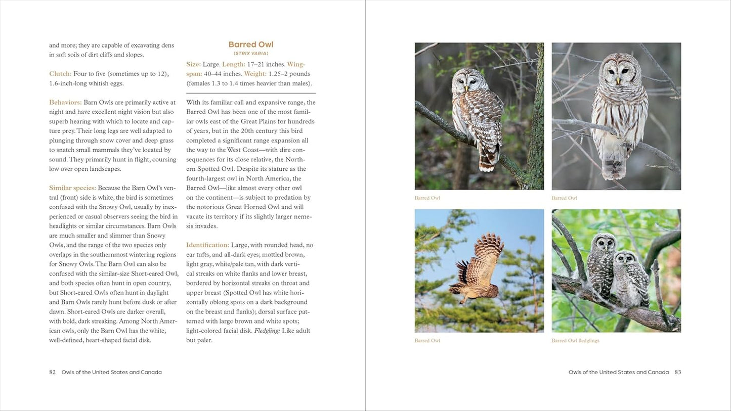 The Owl Handbook: Investigating the Lives, Habits, and Importance of These Enigmatic Birds