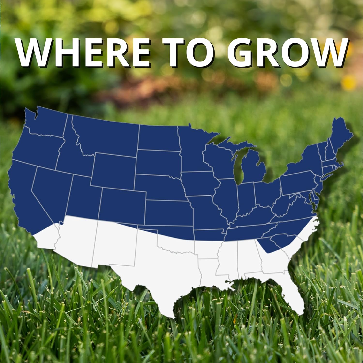 Jonathan Green (10322) Black Beauty Ultra Grass Seed - Cool Season Law