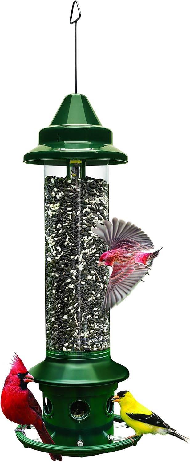 Squirrel Buster Nut Feeder Squirrel-Proof Bird Feeder for Nuts and Fruit, Two Meshes & Squirrel Buster Plus Squirrel-Proof Bird Feeder w/Cardinal Ring and 6 Feeding Ports, 5.1-Pound Seed Capacity