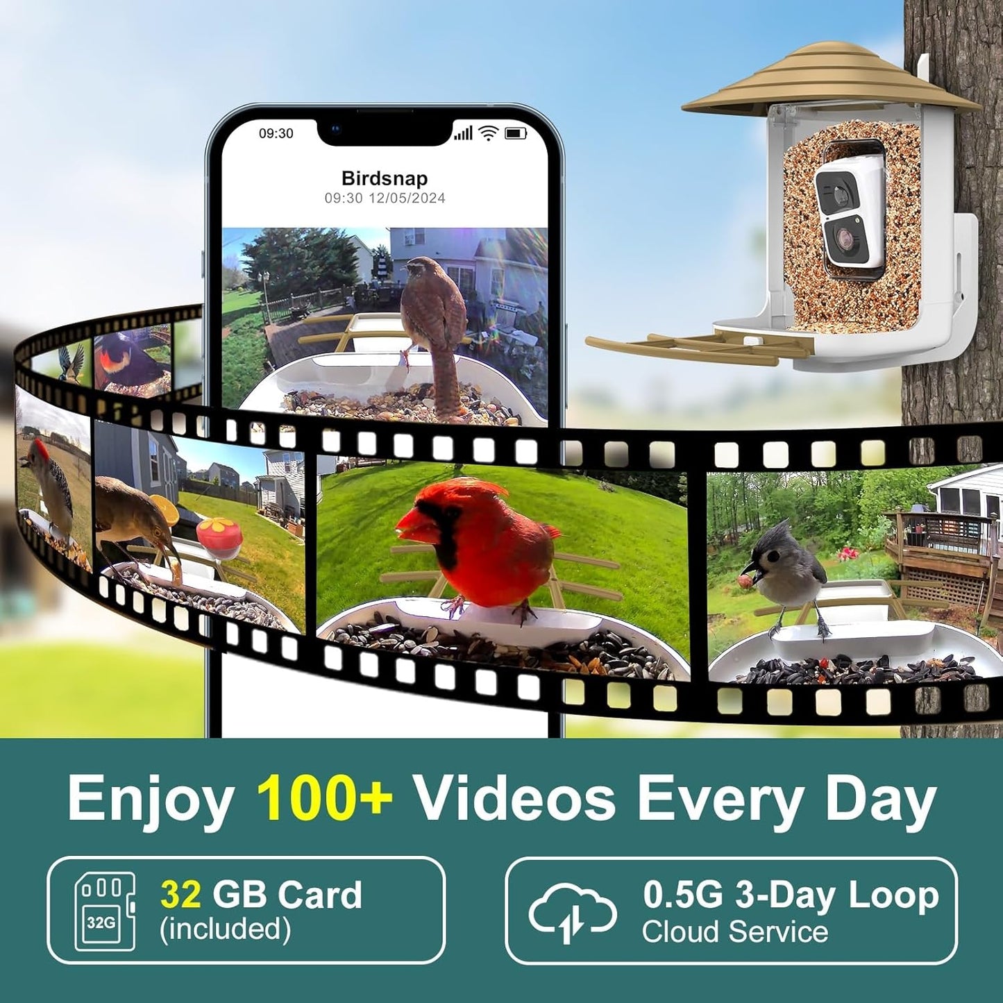 birdsnap® TUC Smart Bird Feeder with Camera 2K HD, Solar Panel 32GB Card 4-in-1 Perch, 160°View Auto Detect & Notify AI Identify Video Bird Camera Wireless Outdoors Ideal Gift for Birds Lover