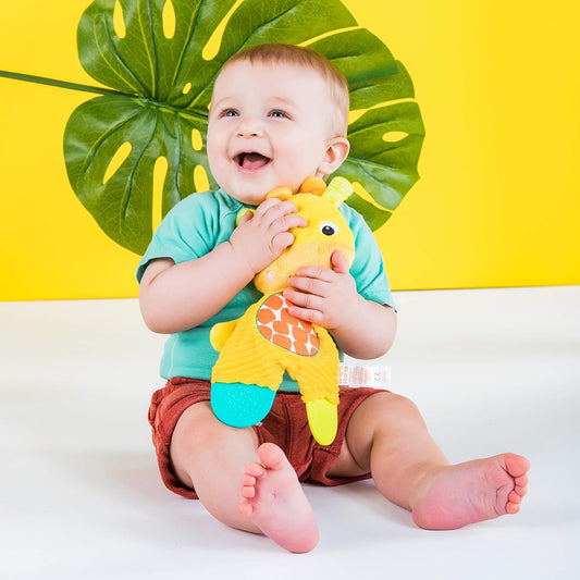 Bright Starts Snuggle & Teethe BPA-Free Crinkle Teething Plush Baby To