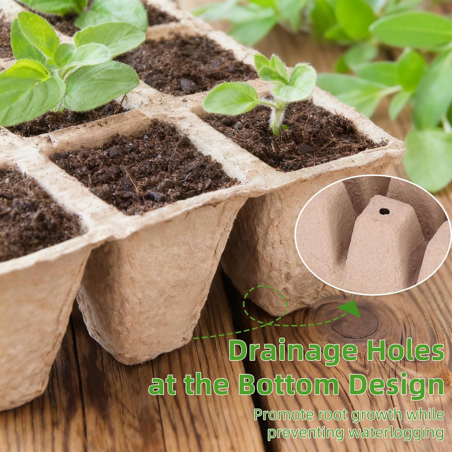Seed Starter Tray - 300 Cells Biodegradable Peat Pots for Seedlings, 2