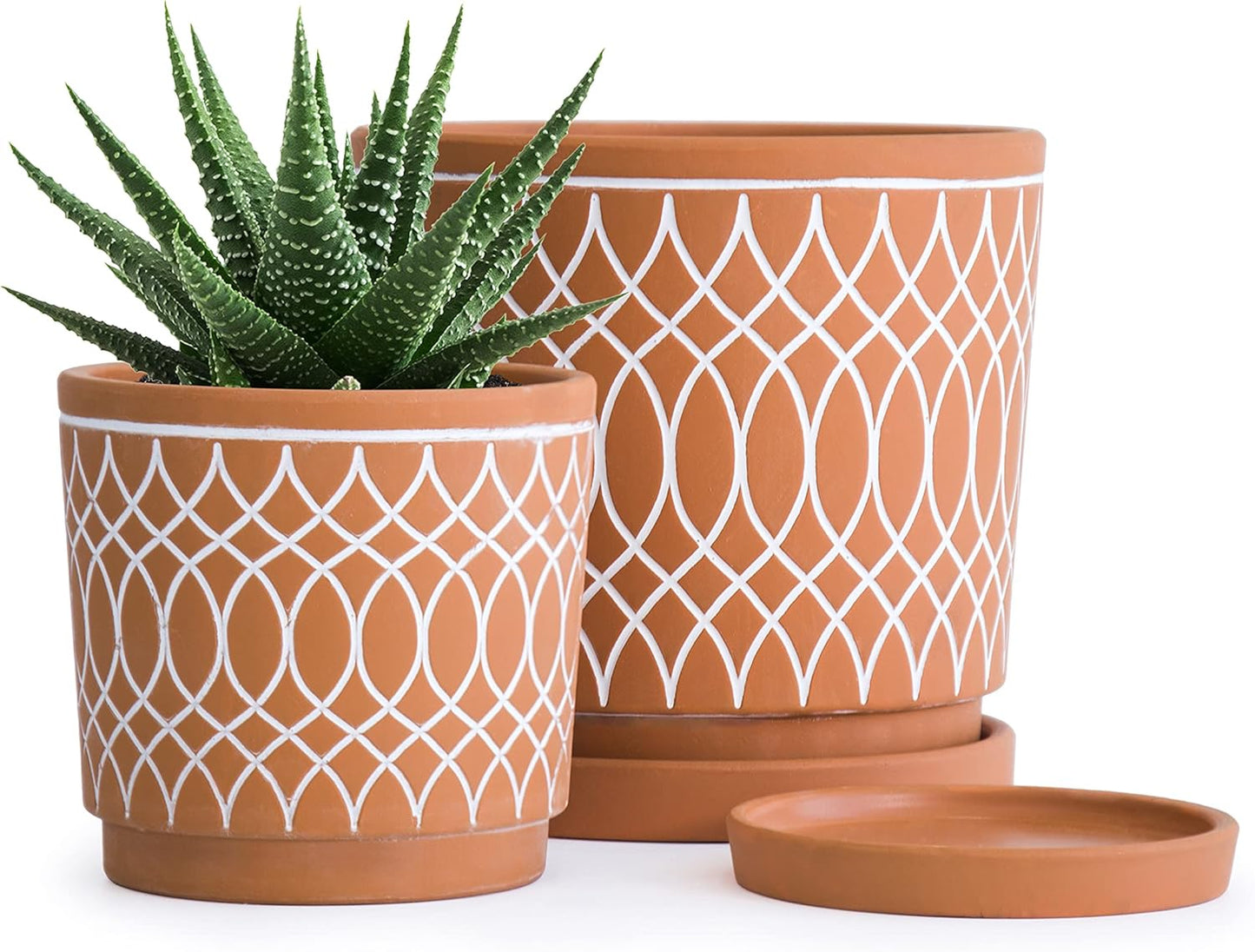 D'vine Dev Set of 2 Terracotta Pots, 4 Inch and 6 Inch, Planter Pots for Plants with Drainage Holes and Saucers, Terracotta/White, 31-958-C-1