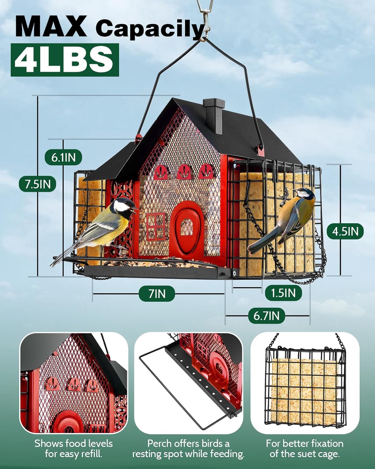Bird Feeders for Outdoors Hanging - Metal Bird Feeder with Double Suet