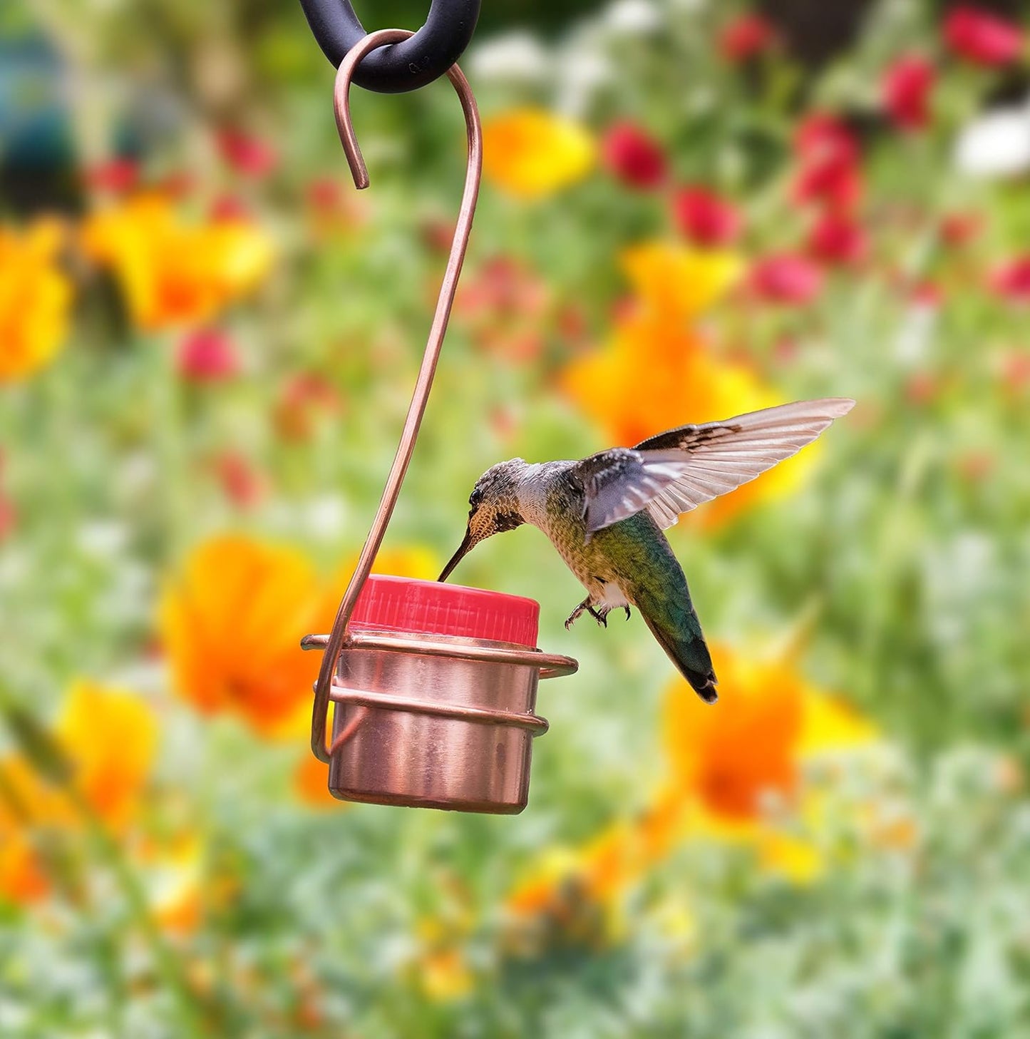 Monarch Abode Hanging Hummingbird Feeders for Outdoors – Pure Copper H