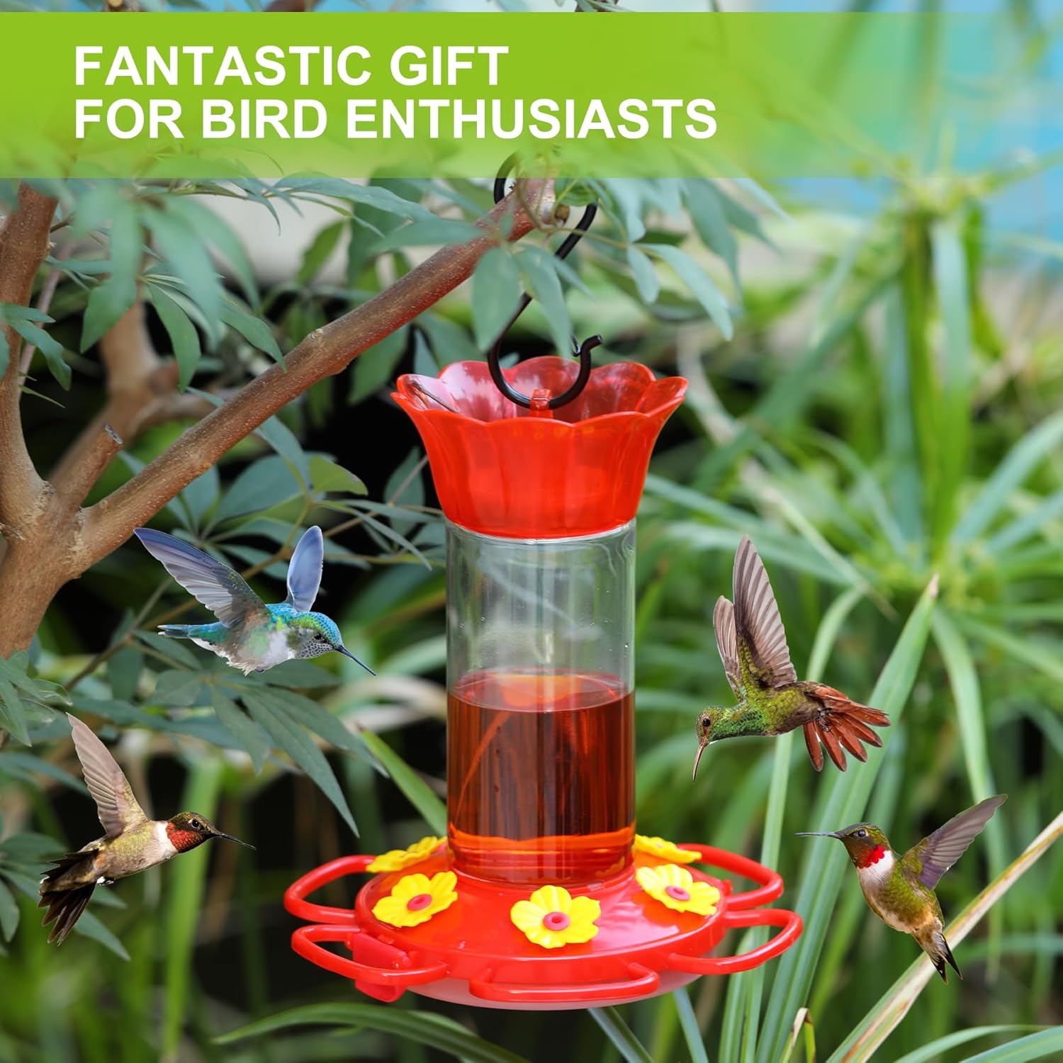 Plastic Hummingbird Feeders for Outdoors Hanging, 1 Pack Humming Bird 