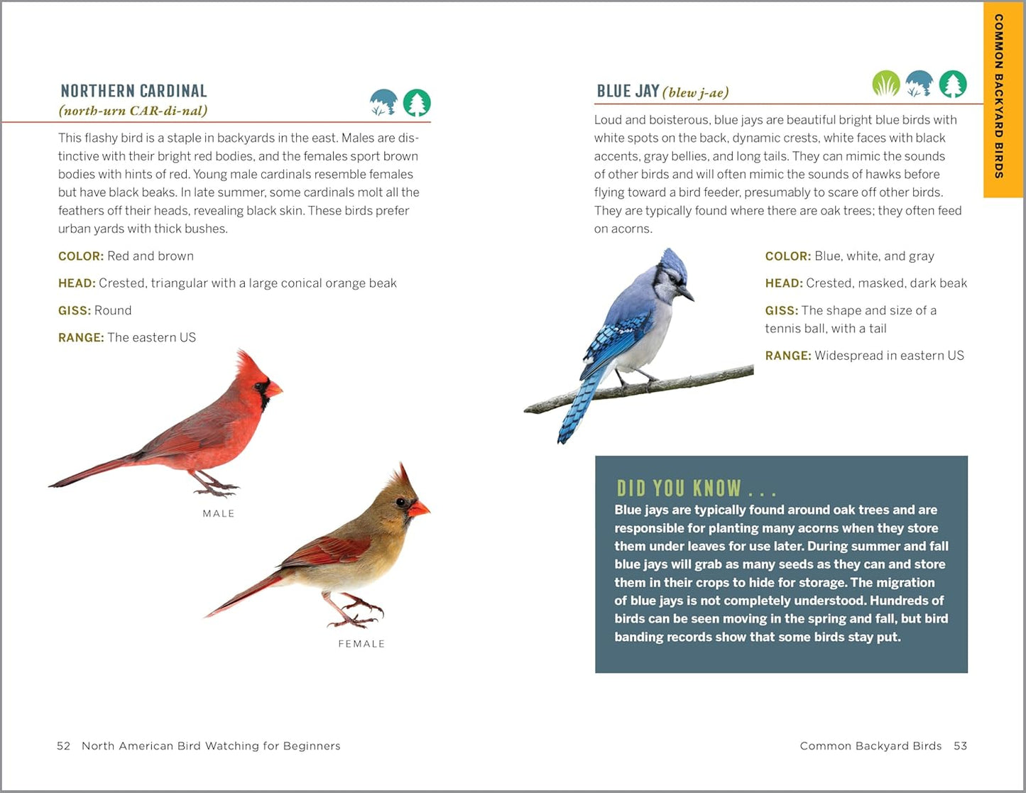 North American Bird Watching for Beginners: Field Notes on 150 Species to Start Your Birding Adventures (Bird Watching Adventures)