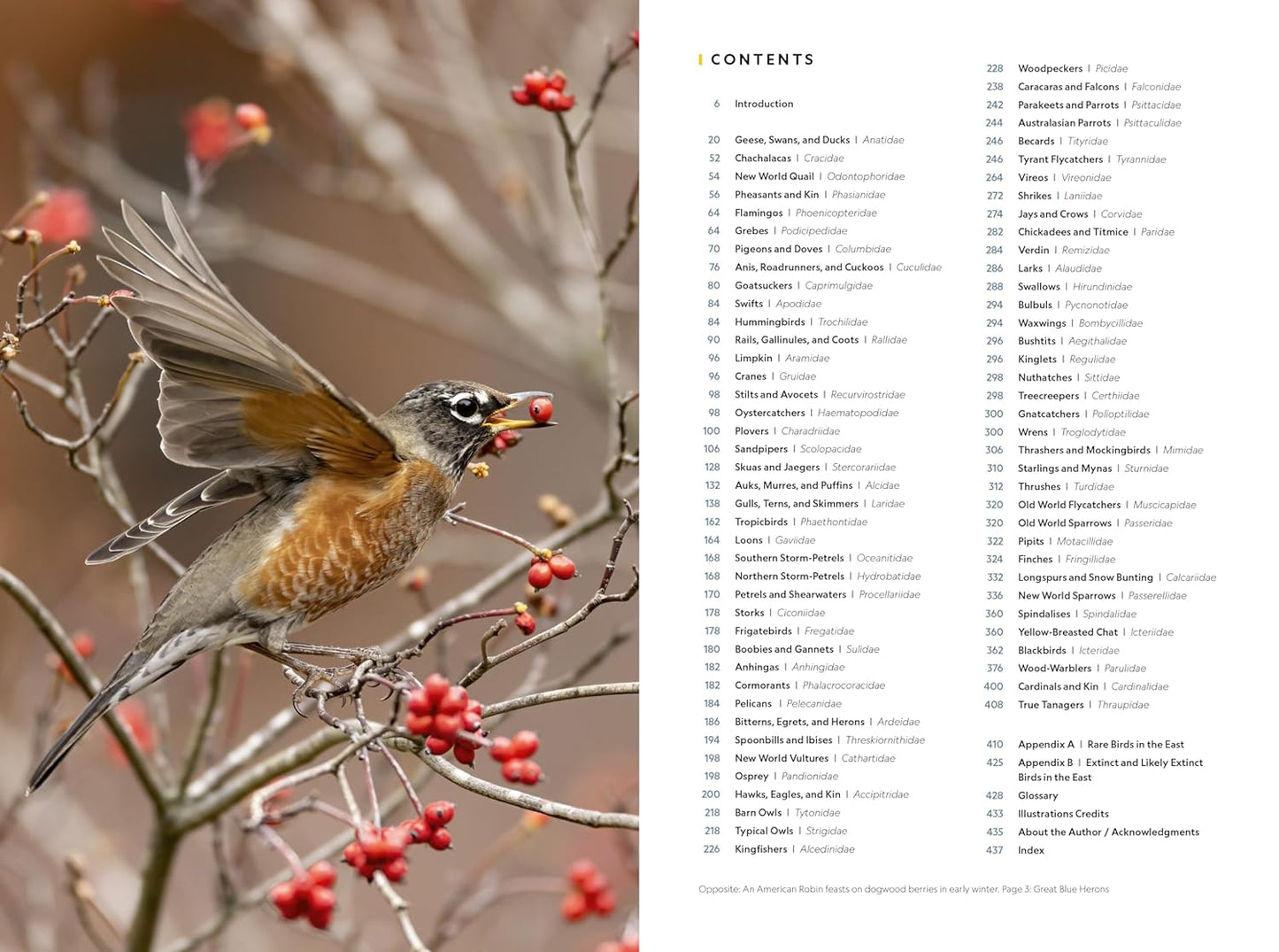 National Geographic Field Guide to the Birds of the United States and 