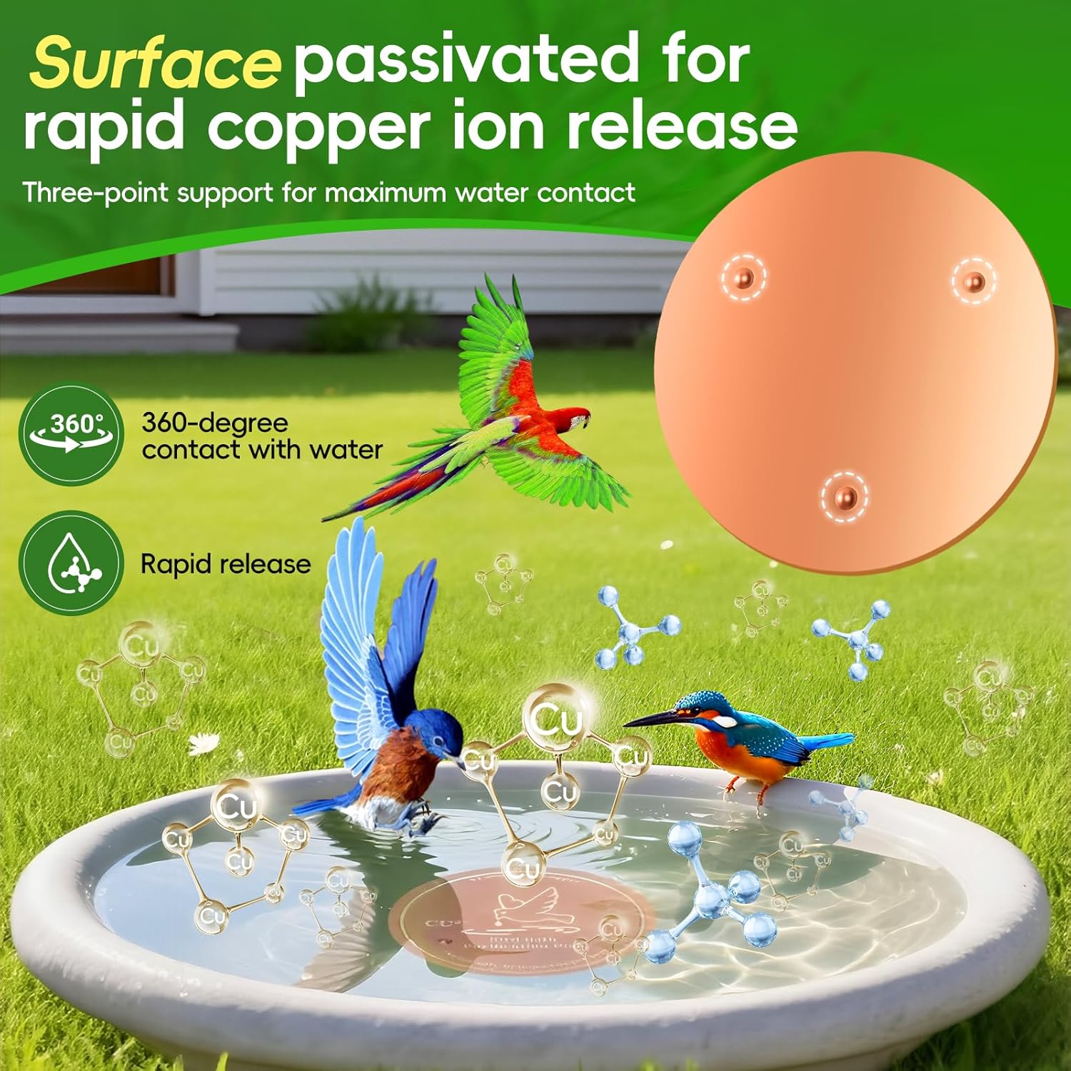 Bird Bath Copper Disk, 99.99% Pure Copper Cleaning Disk, Natural Clean